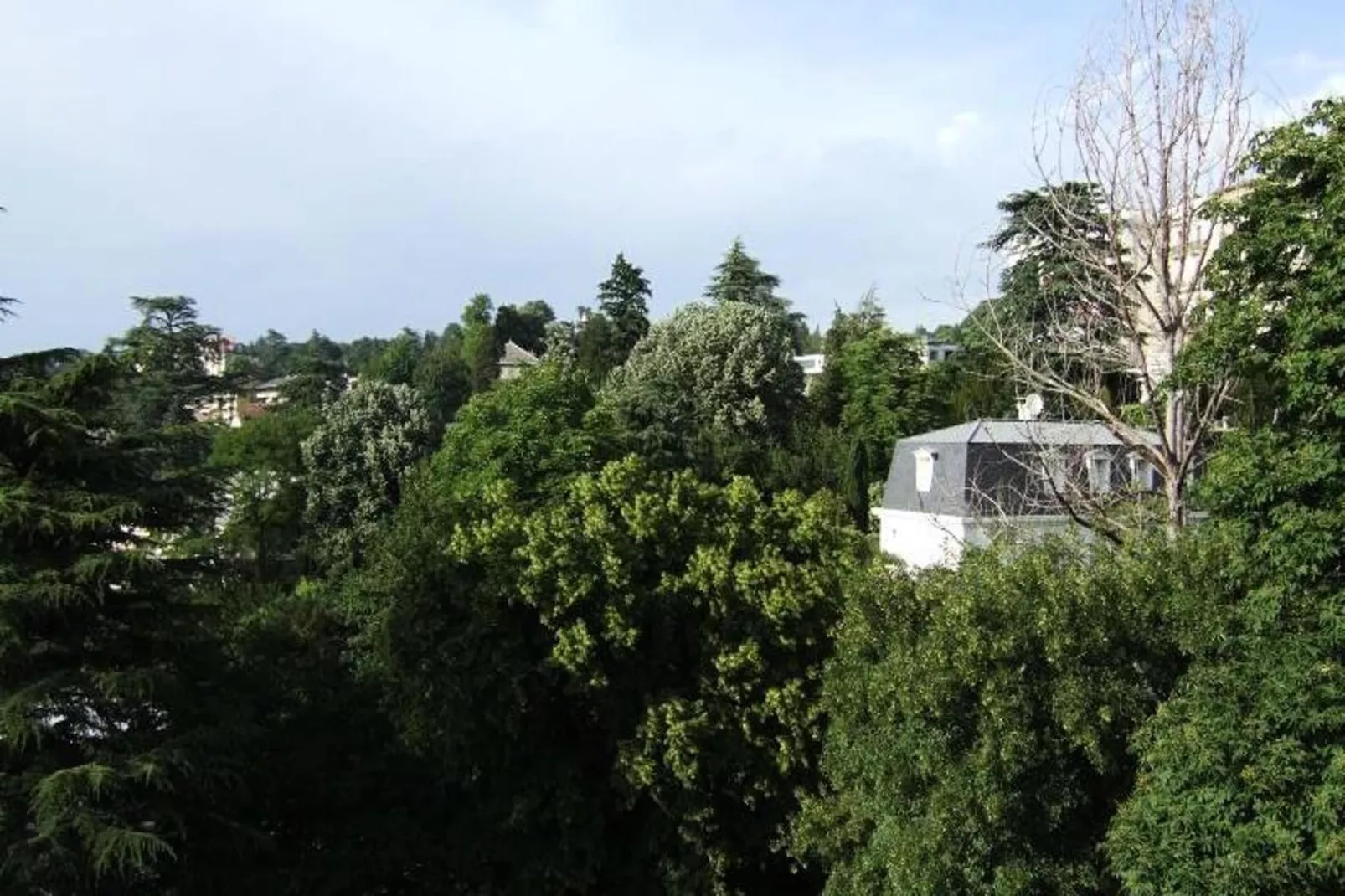 Residence Albion-Areas within 1km in summer