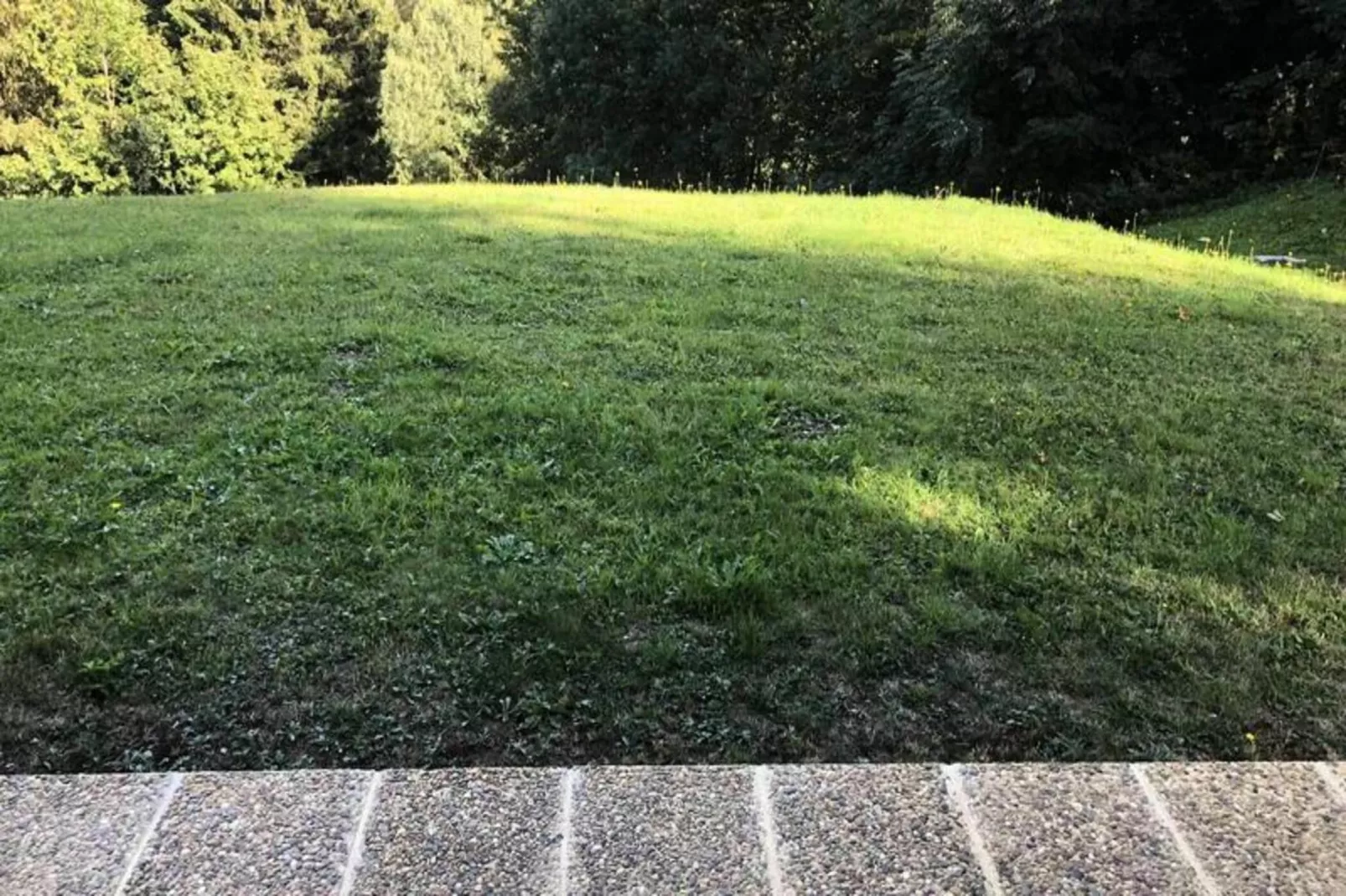 Résidence Les Planes-Exterior in summer