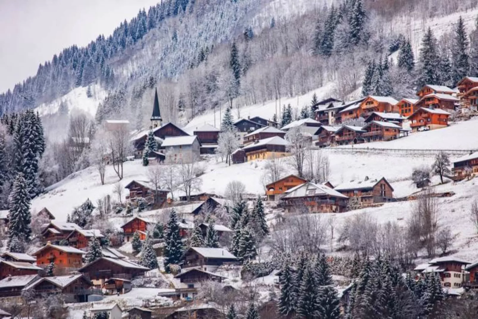 Appartements à Montriond-Gebiet Winter 5 km
