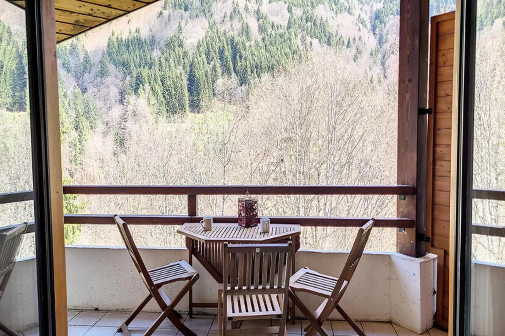 Appartements à Saint Jean d'Aulps-Terrace balcony