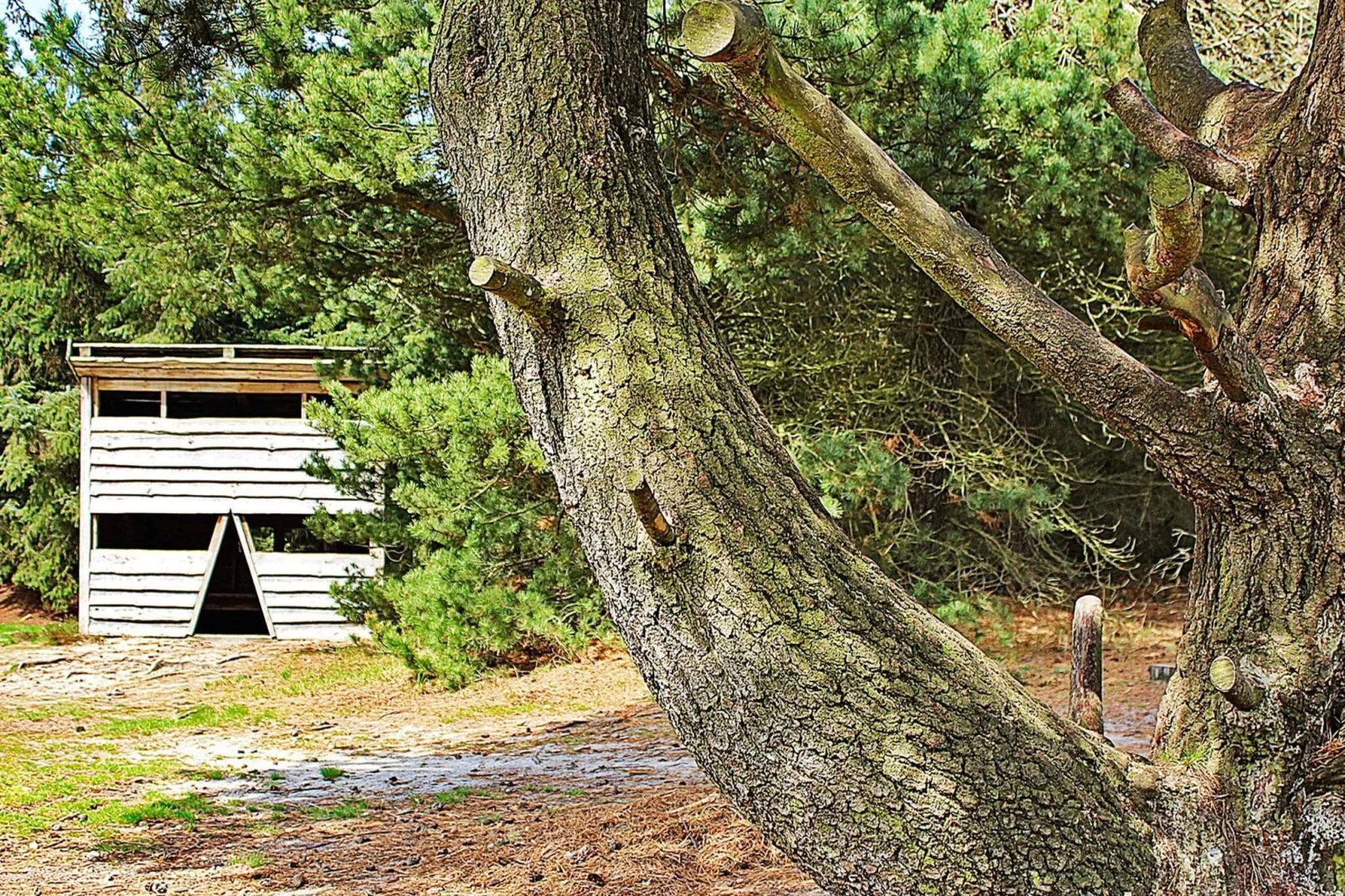 Maison de vacances pour 7 a Ulfborg-By Traum-Vue