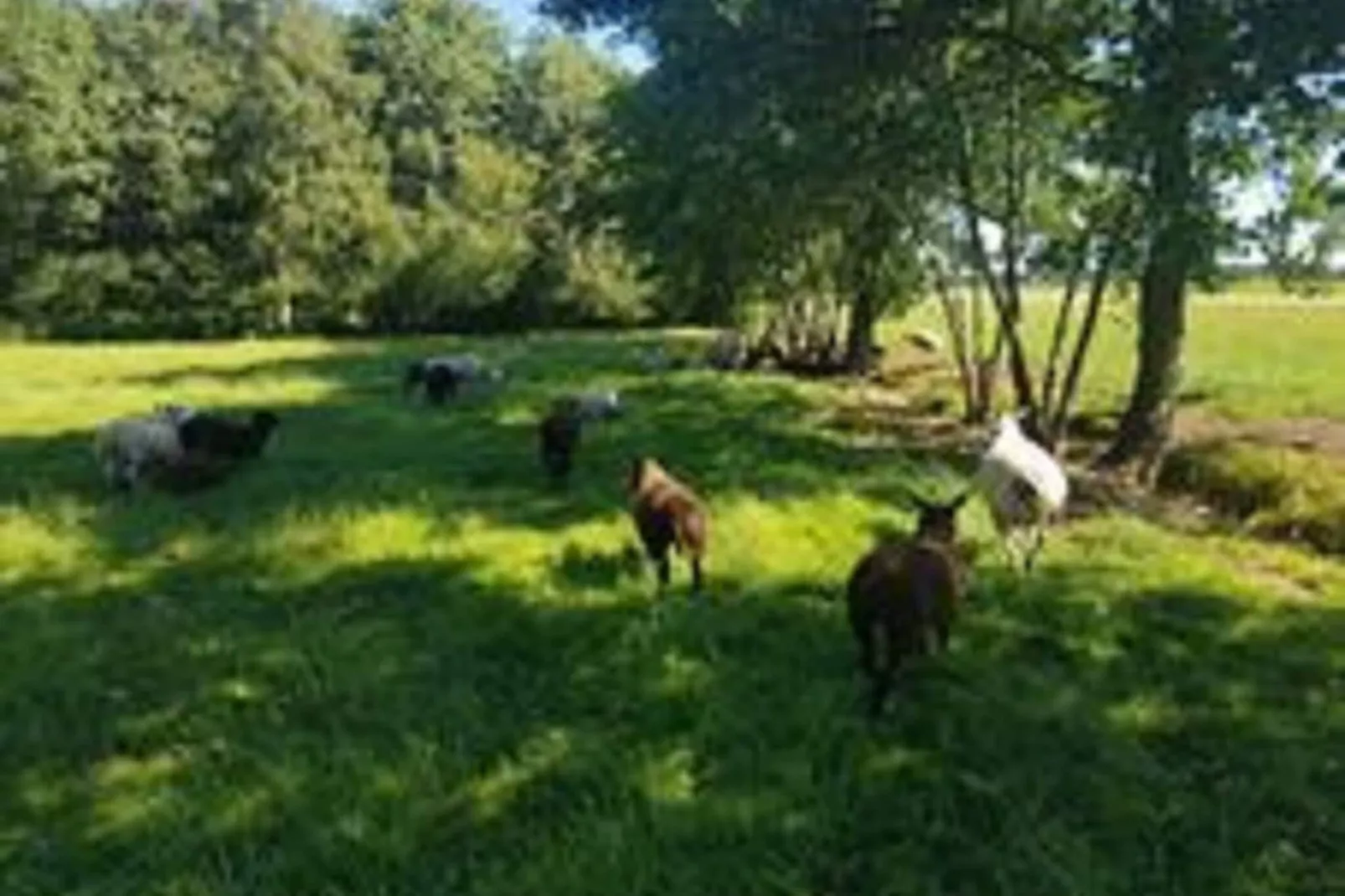 Chalet Vrijzicht-Jardins en été