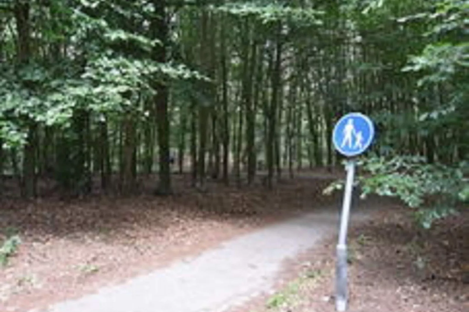 Chalet Vrijzicht-Zones été à 1 km