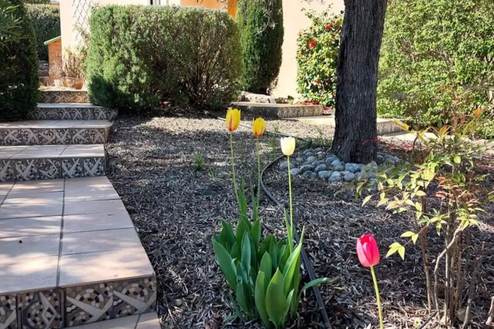 Résidence Parc Golf Esterel - maeva Home-Untagged