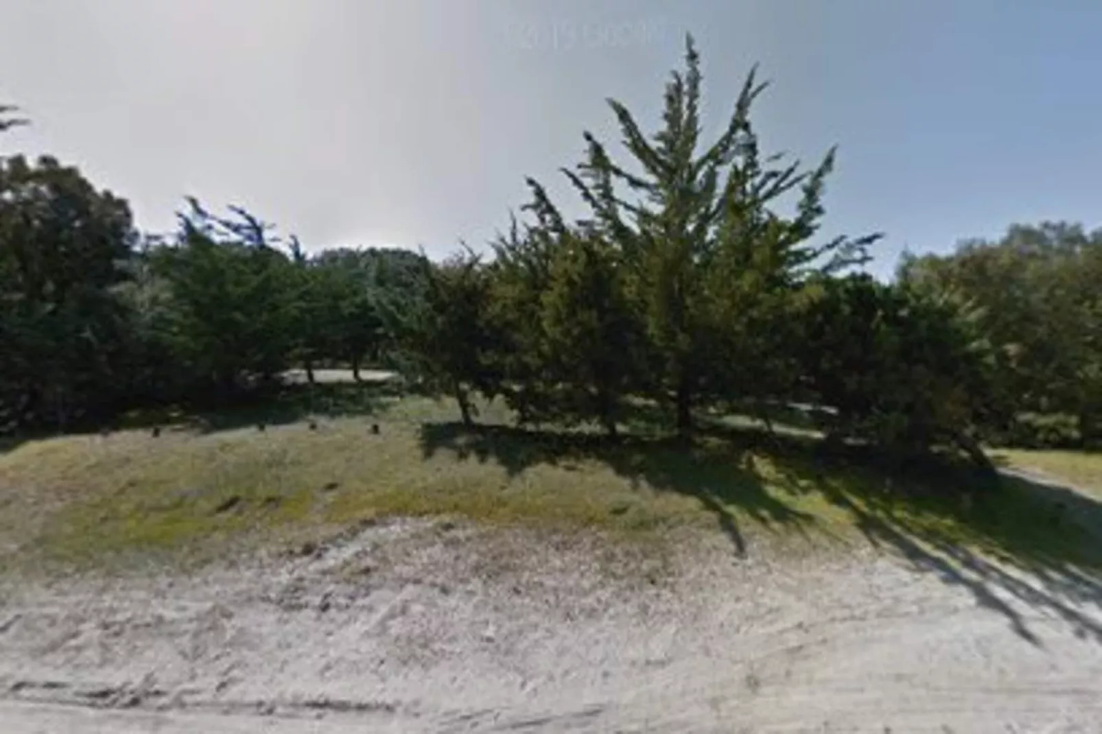 Villa Californie - Domaine Le Sherwood-Exterior in summer