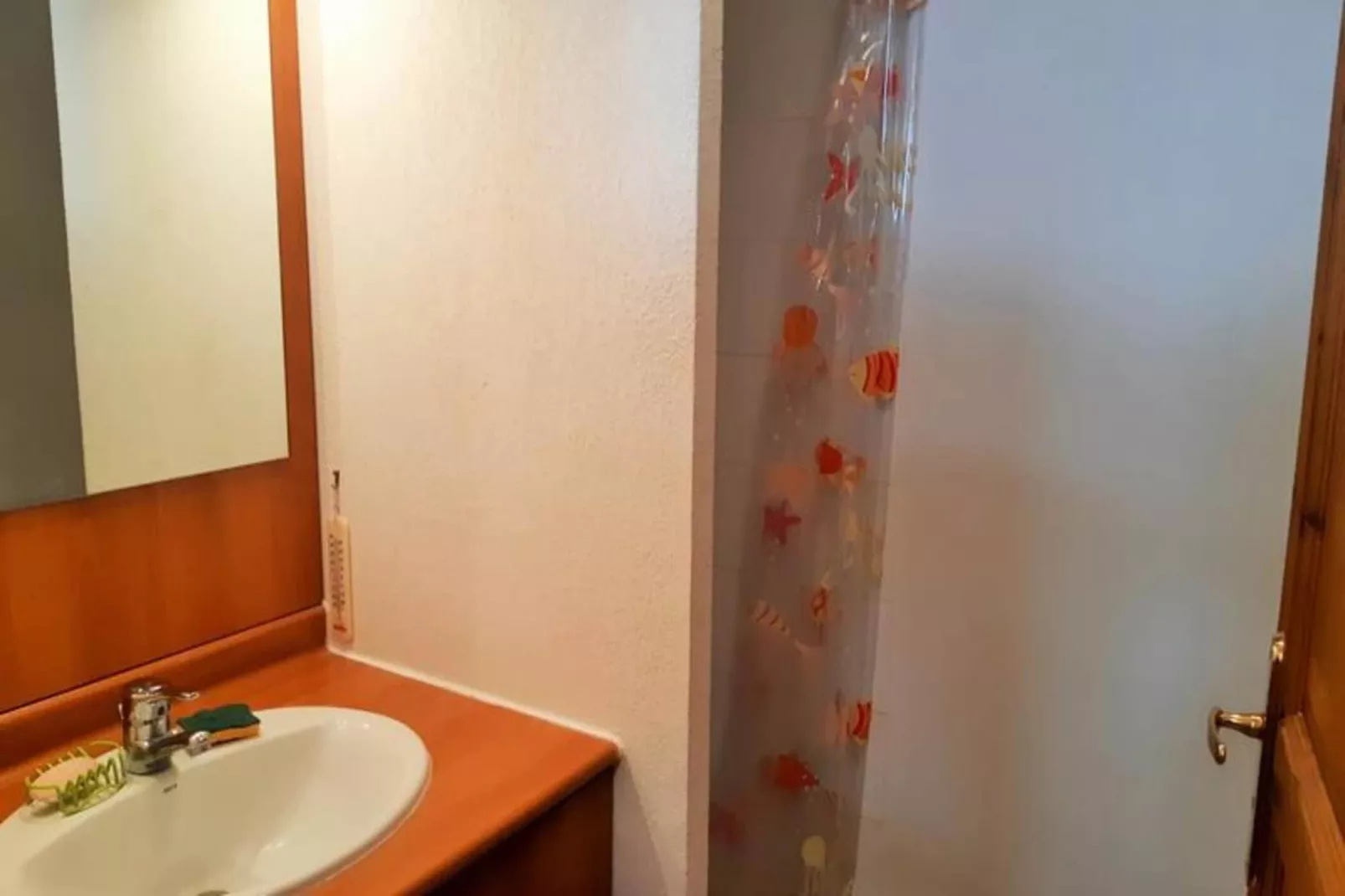 Résidence Balcon Des Pistes C-Badezimmer