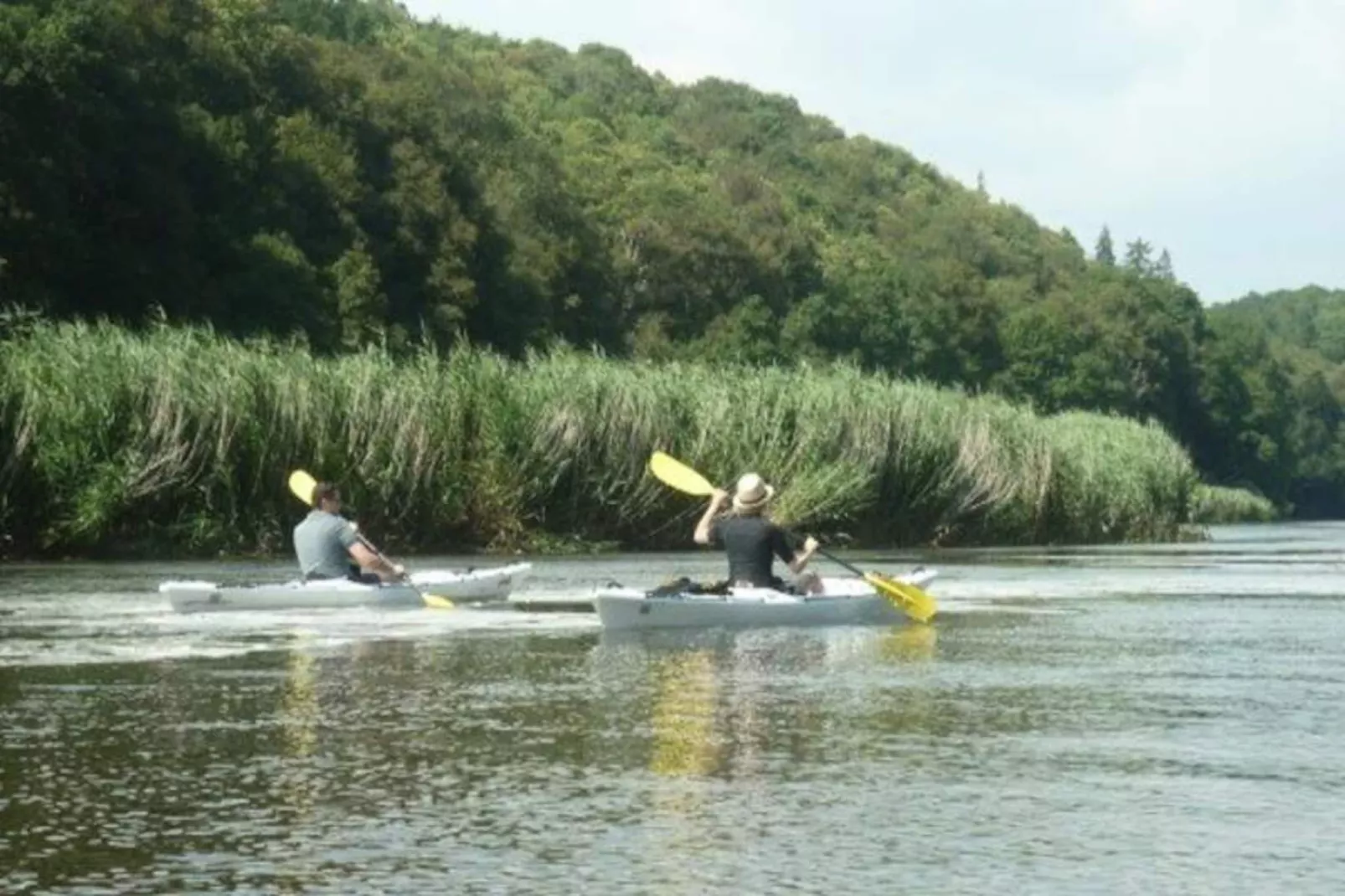 Résidence Le Clos Des Pins-Image-tags.