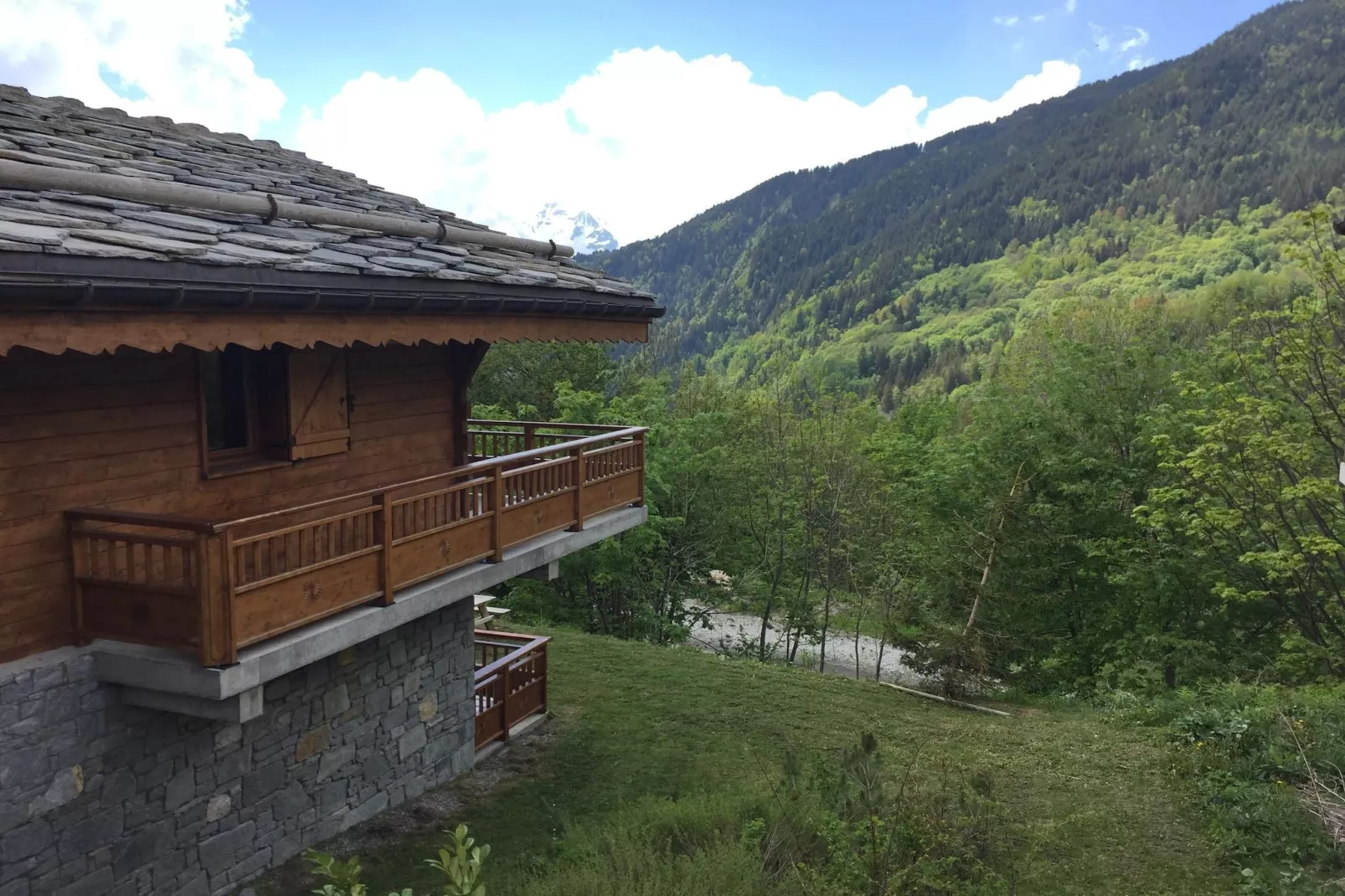 Chalet 3 - SAINT-FRANÇOIS-LONGCHAMP-View in summer