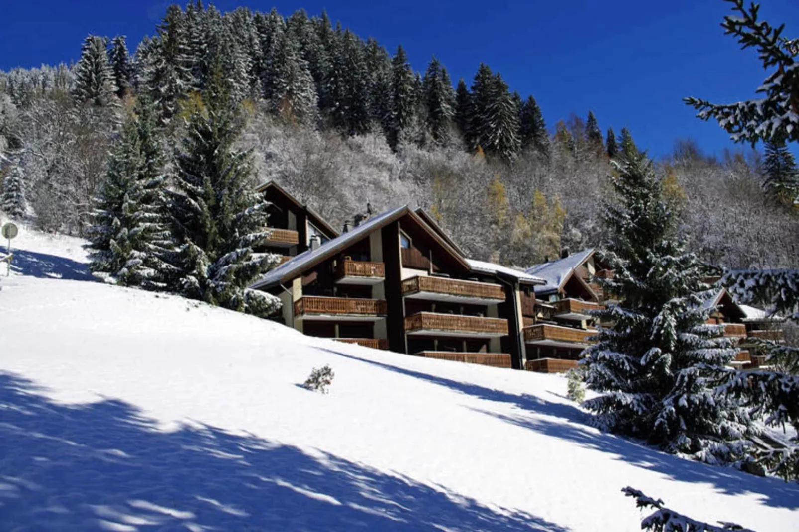 Résidence Campanule - Les Hauts De Planchamp-Exterior in summer