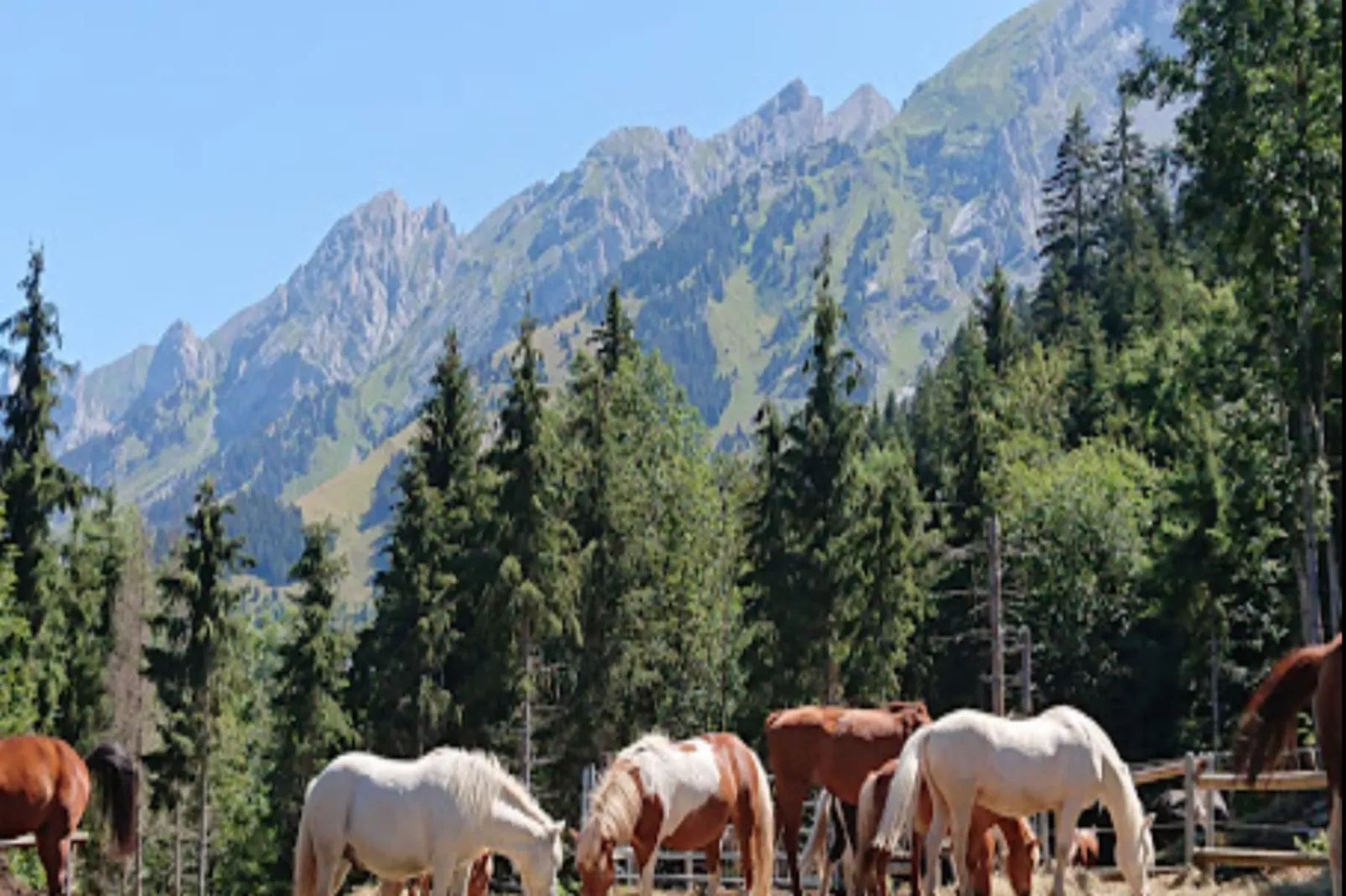 Résidence Les Cimes*****-Areas within 5km in summer