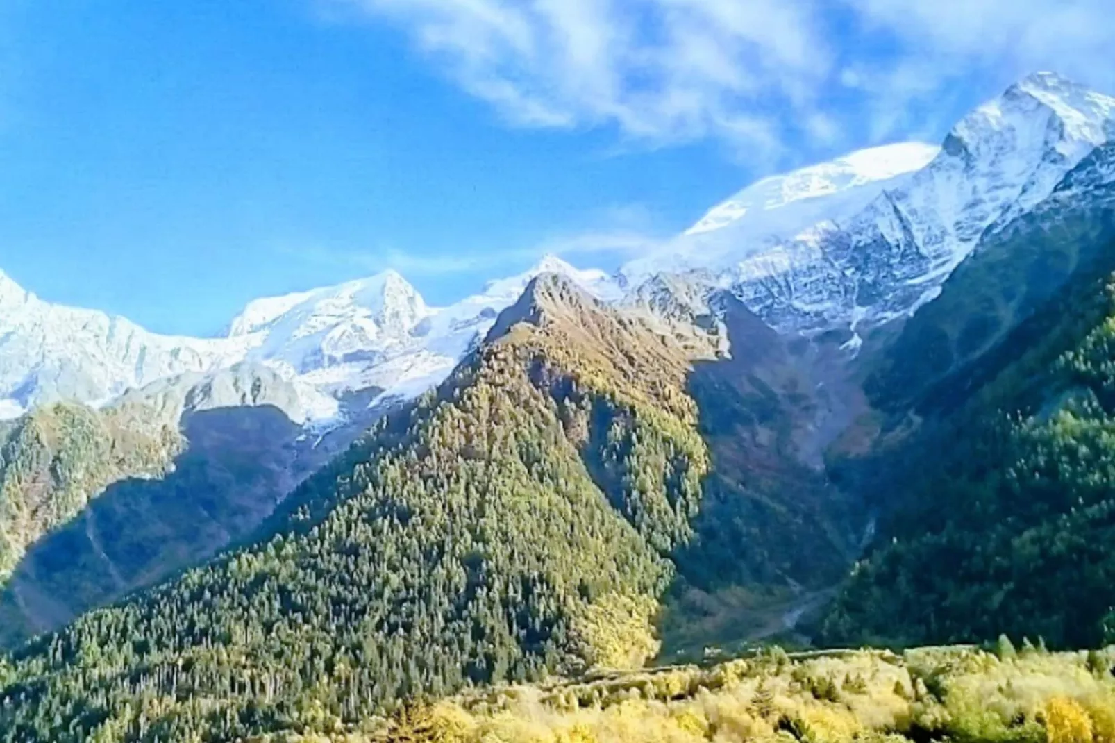 Résidence Les Amethystes B-Exterior in summer