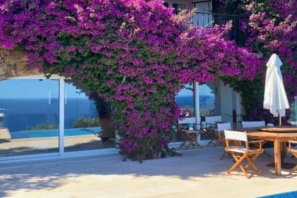 576382-Nicht zugeordnet