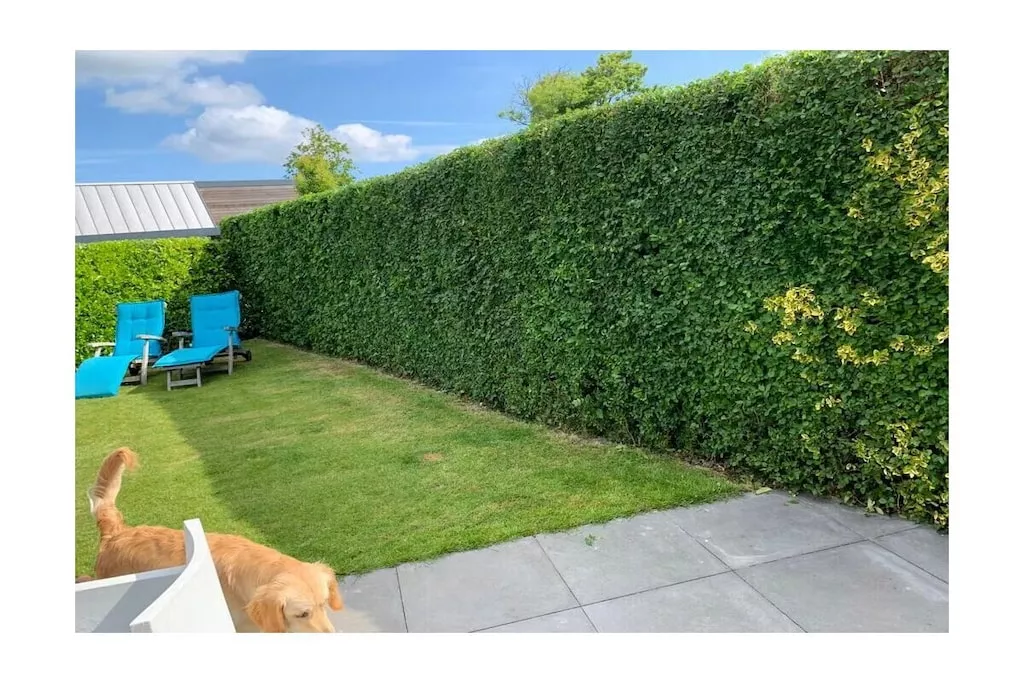 637765-Nicht zugeordnet