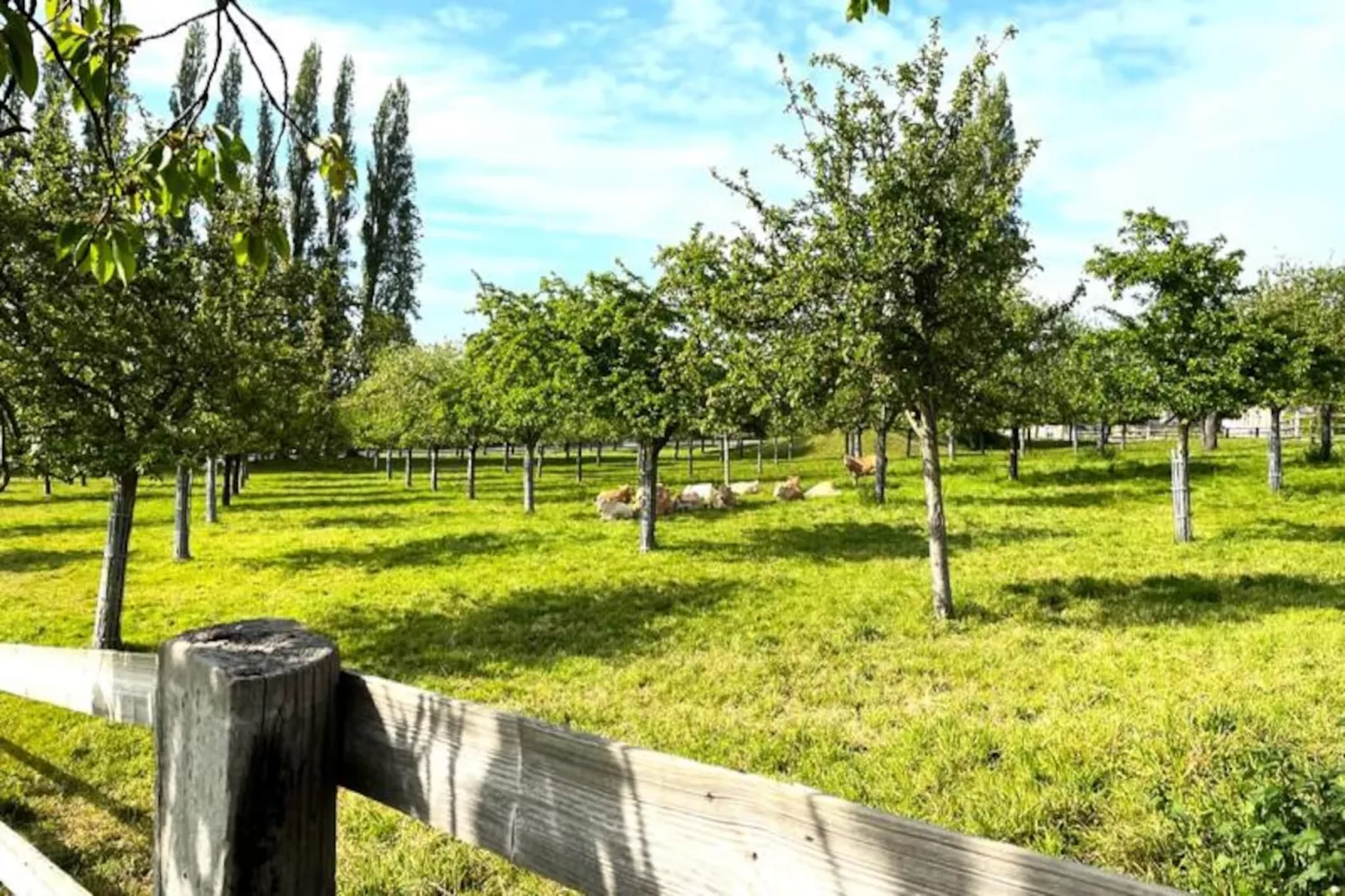 🍎 La Tourterelle - Domaine D'apreval - Campagne-Image-tags.