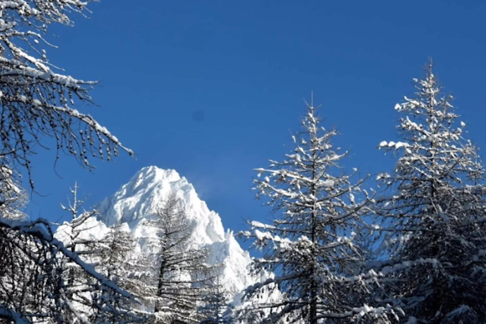 Résidence Casino-Area within 5km in winter