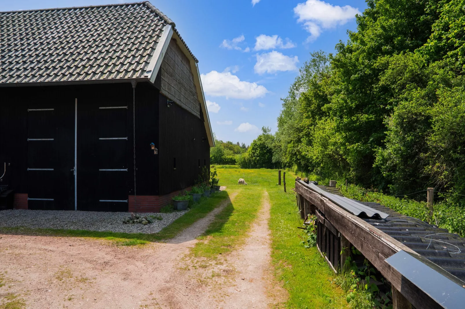 Natuurhuis Dichtbij-Exterior summer