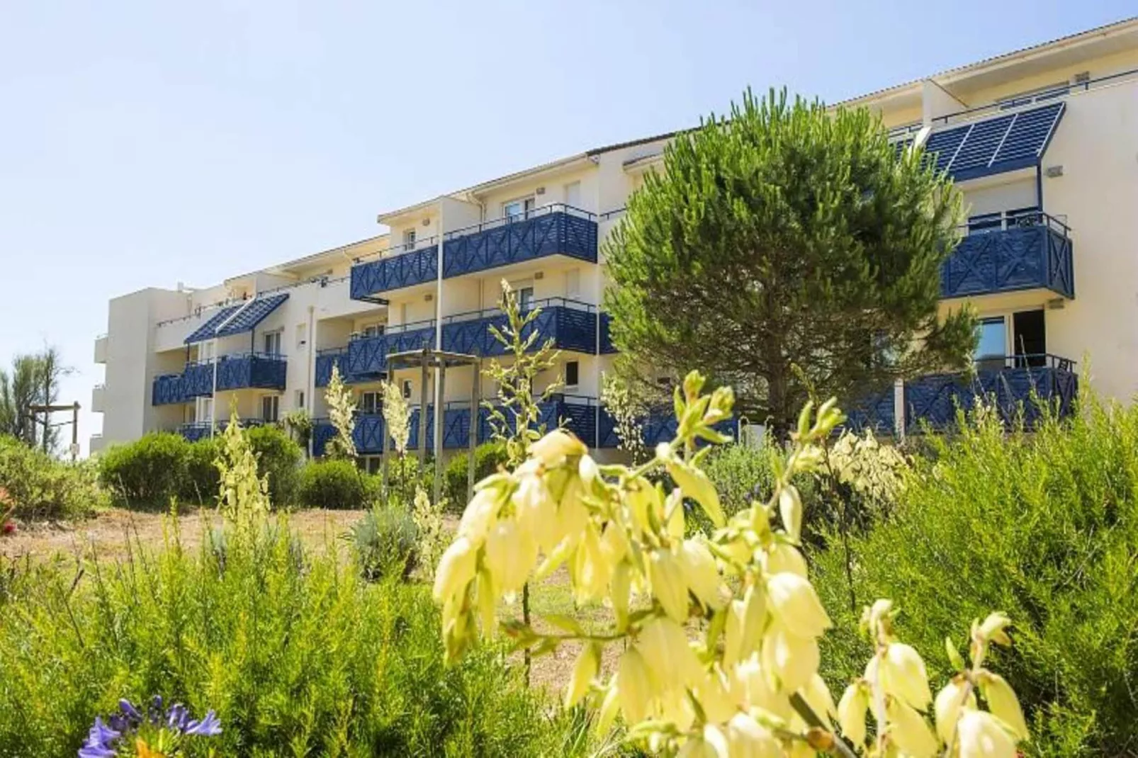 Résidence Bleu Marine - maeva Home-Exterior in summer