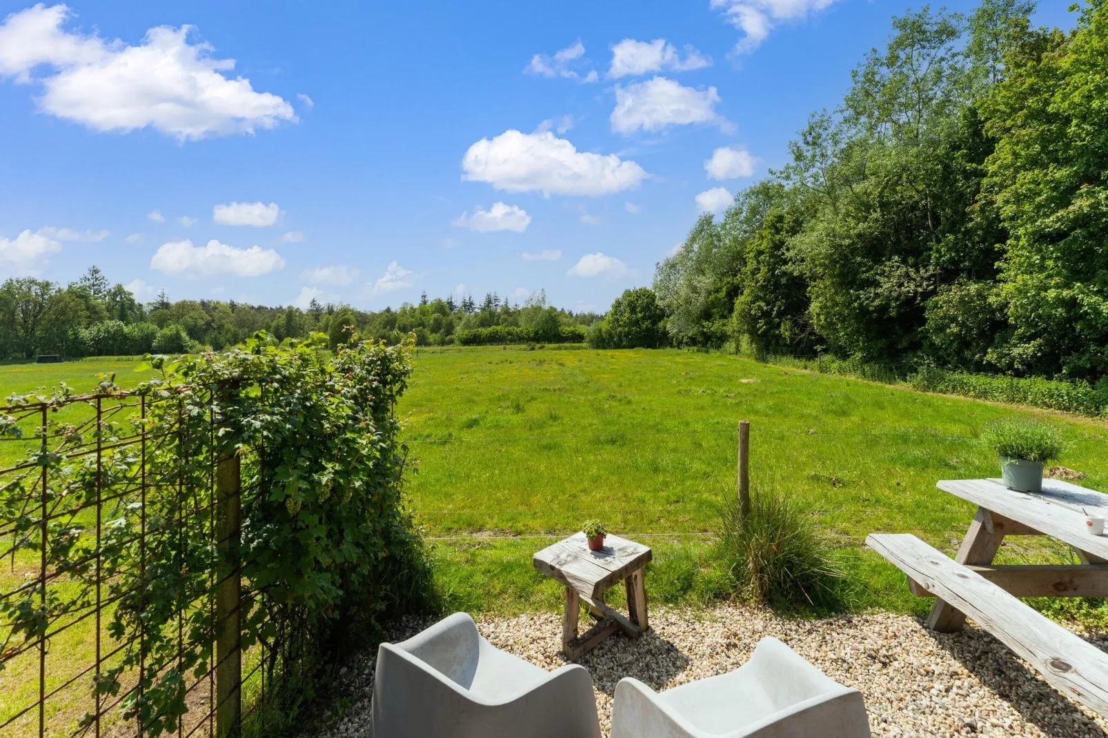 Natuurhuis Dichtbij-View summer