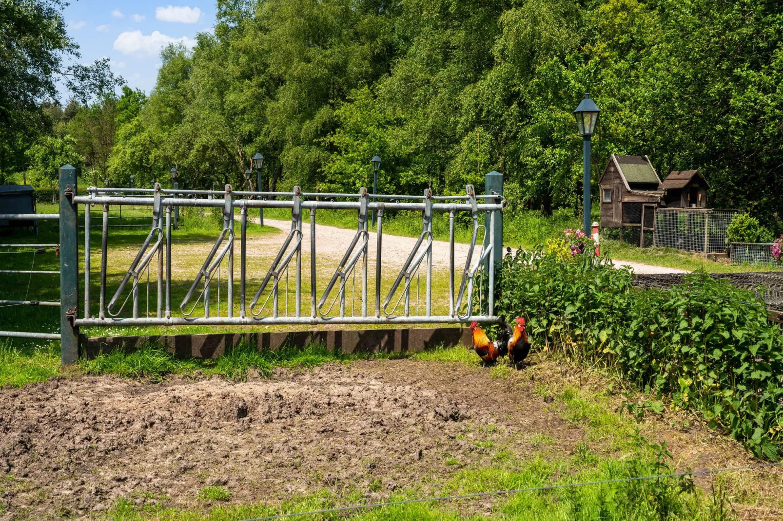 Natuurhuis Dichtbij-Areas summer 1km