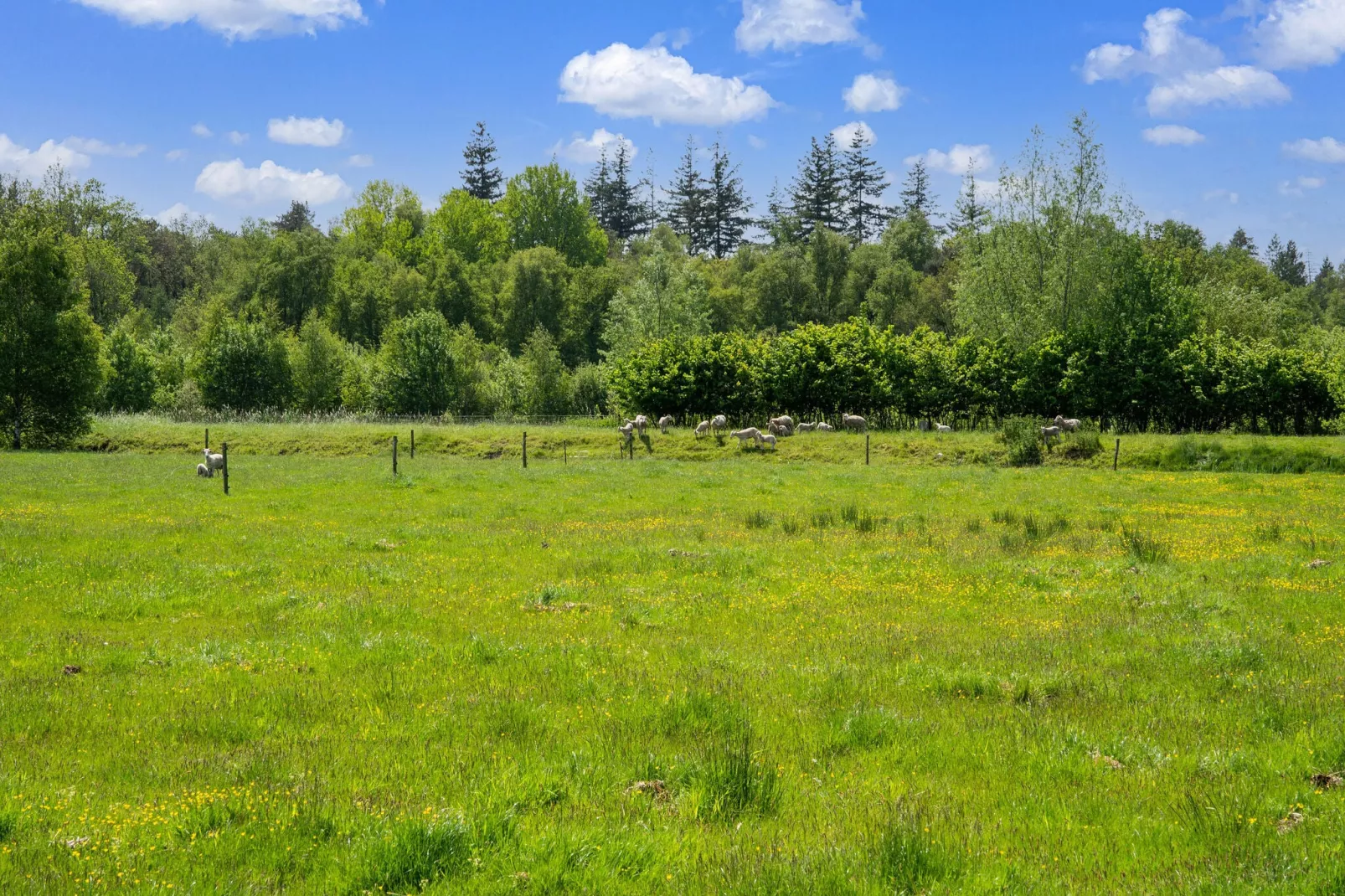 Natuurhuis Dichtbij-Areas summer 1km