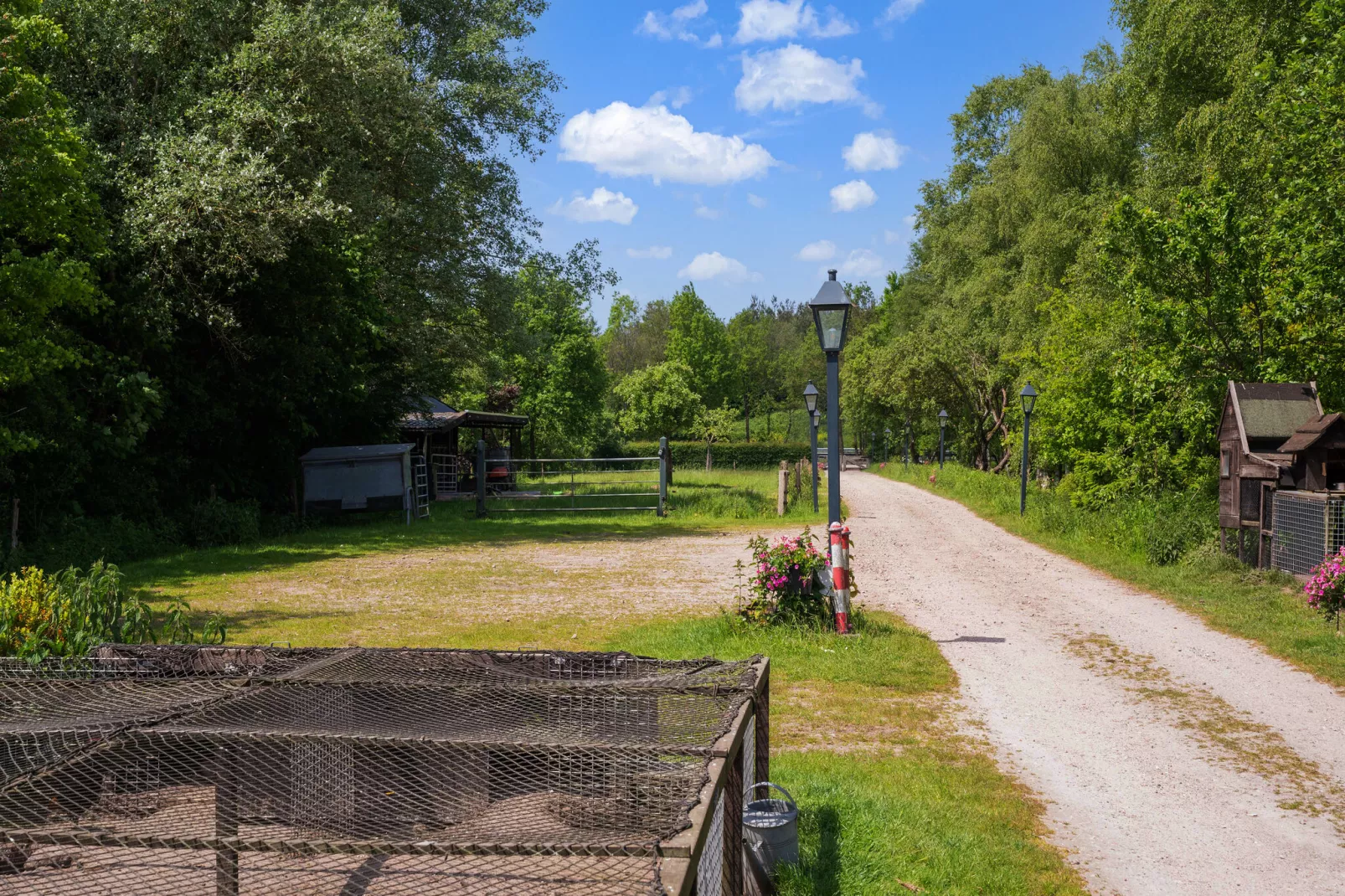 Natuurhuis Dichtbij-Areas summer 1km