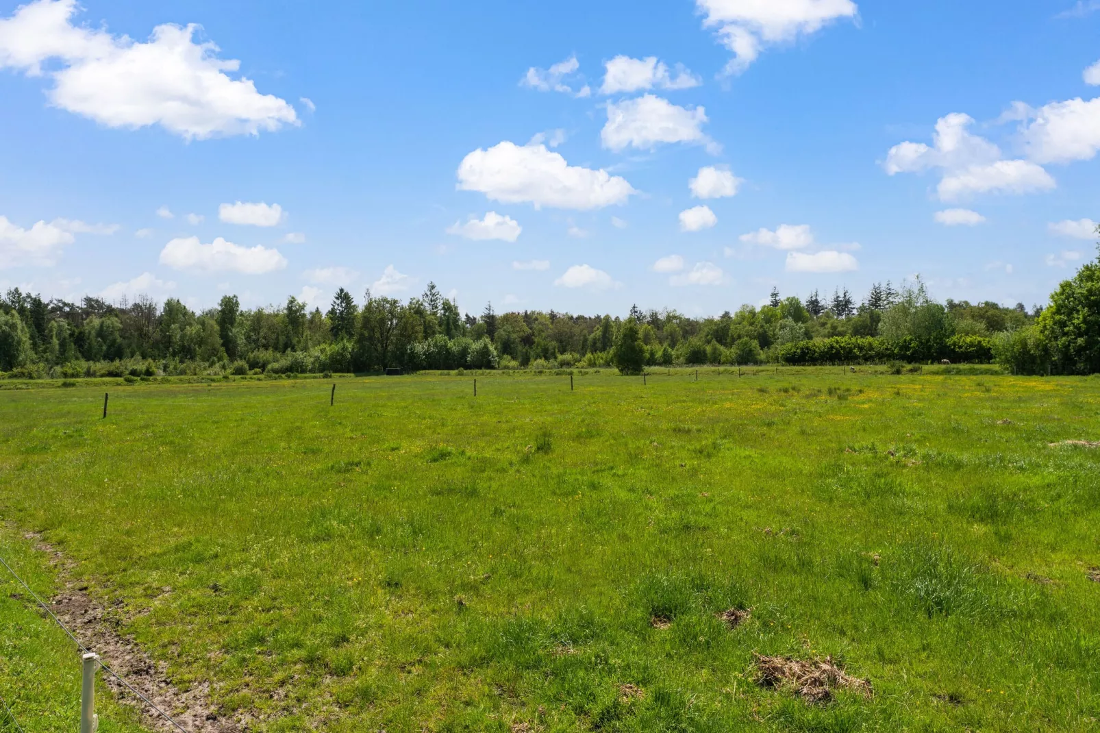 Natuurhuis Dichtbij-Areas summer 5km