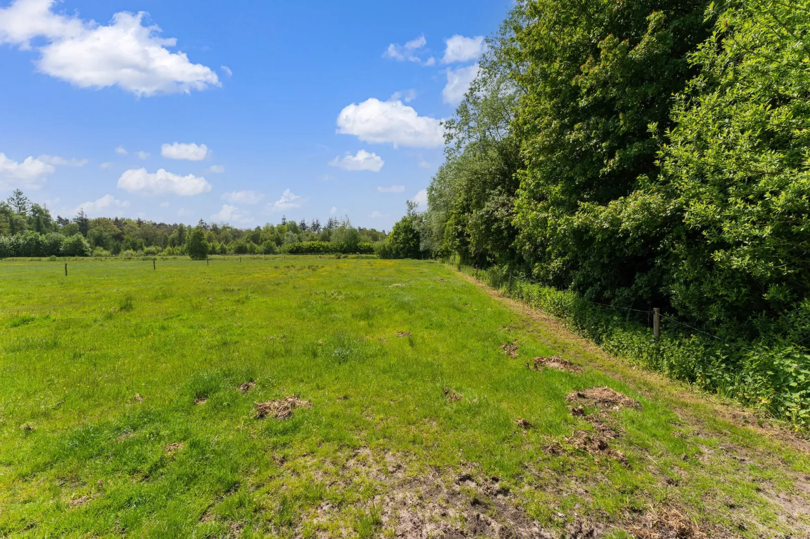 Natuurhuis Dichtbij-Areas summer 5km