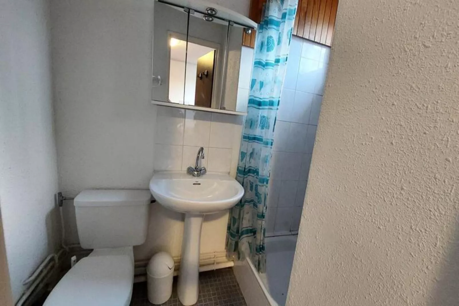 Résidence Vallee Blanche Belledonne-Bathroom