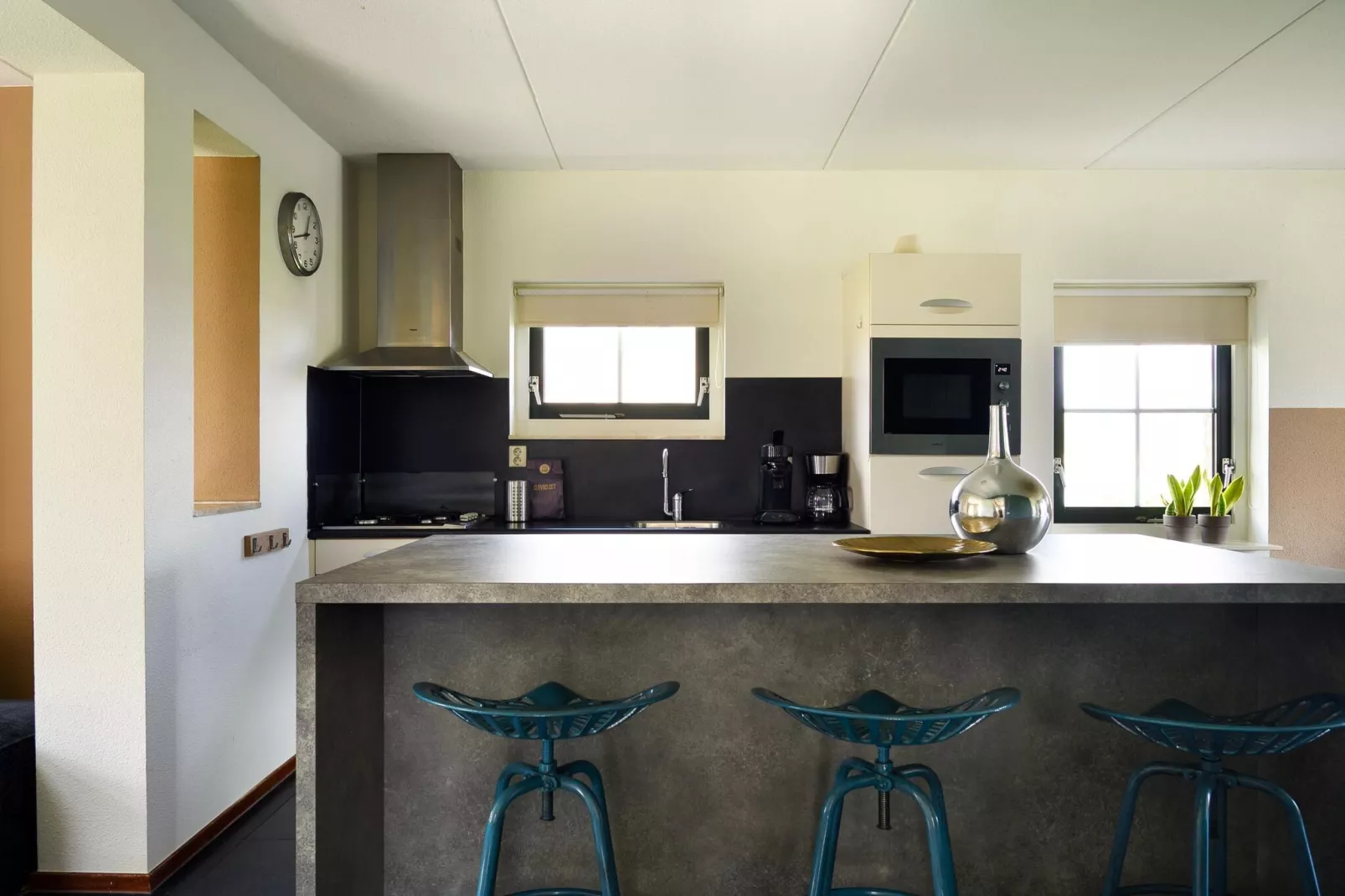 10 pers Lieskehuis Wellness de luxe met sauna buitenspa en toerboot-Kitchen