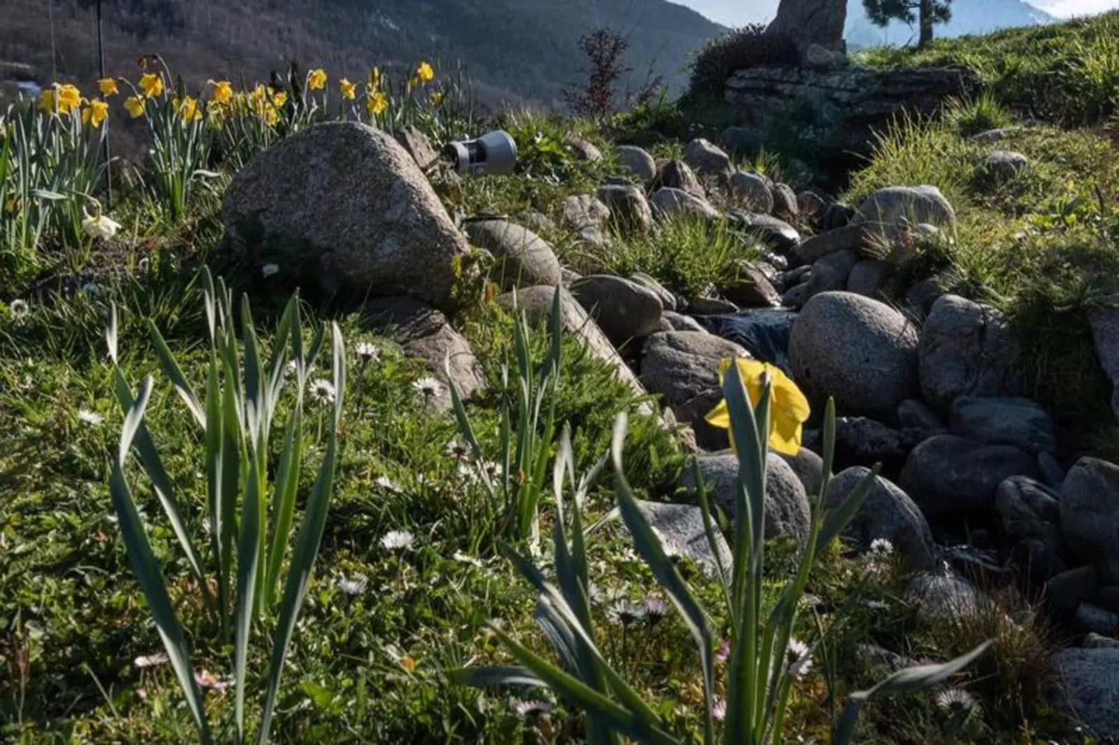 Résidence Clos Mirabelle-Areas within 1km in summer