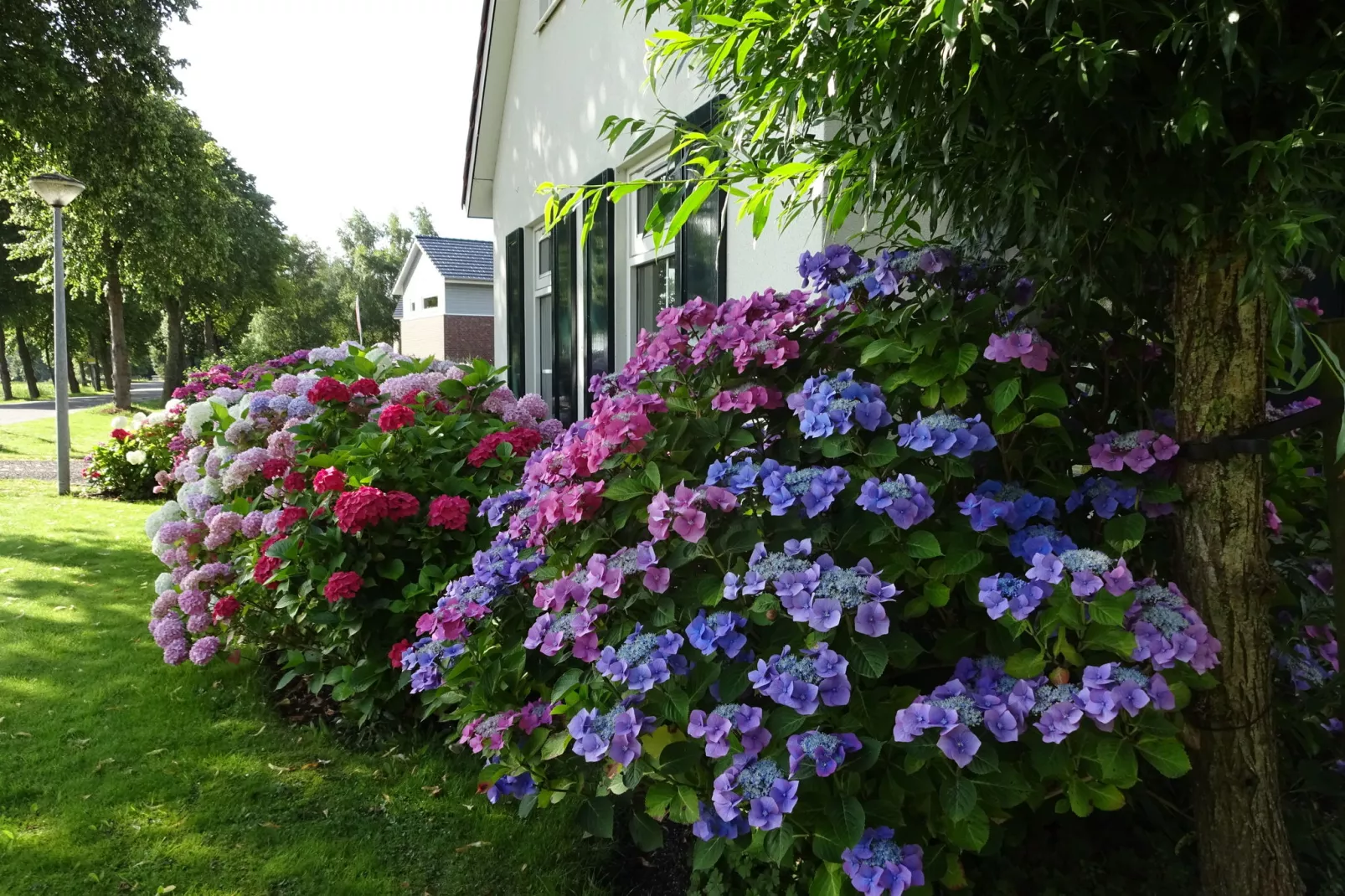 Villa ten Hoeve-Atmosphere