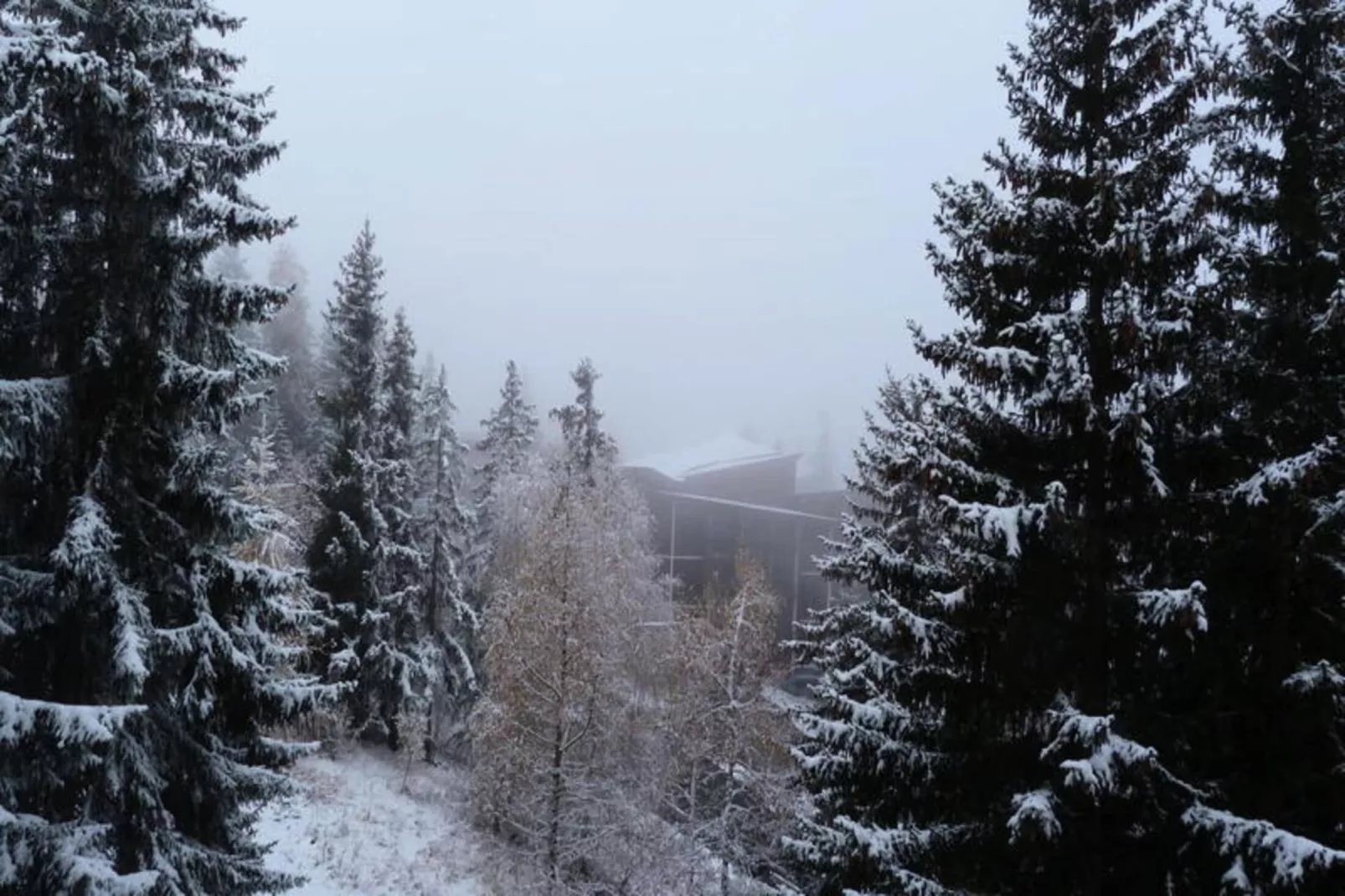 Résidence Archeboc-Exterior in summer