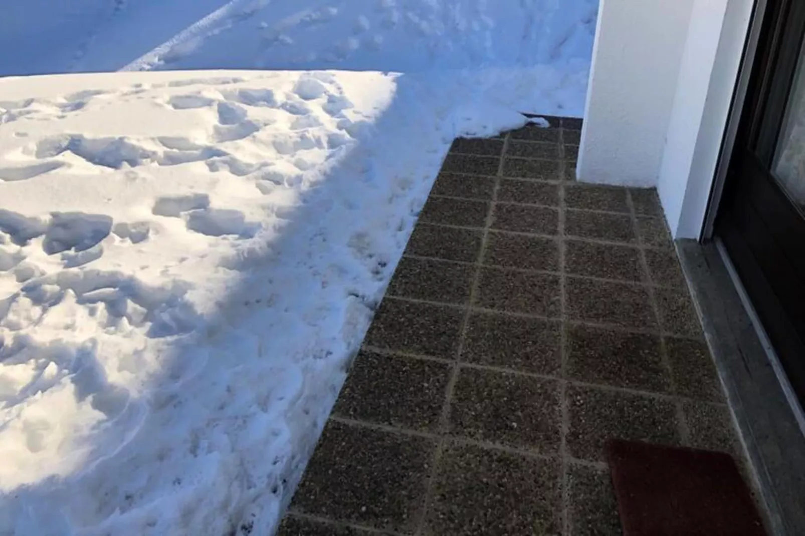 Résidence Les Planes-Exterior in summer