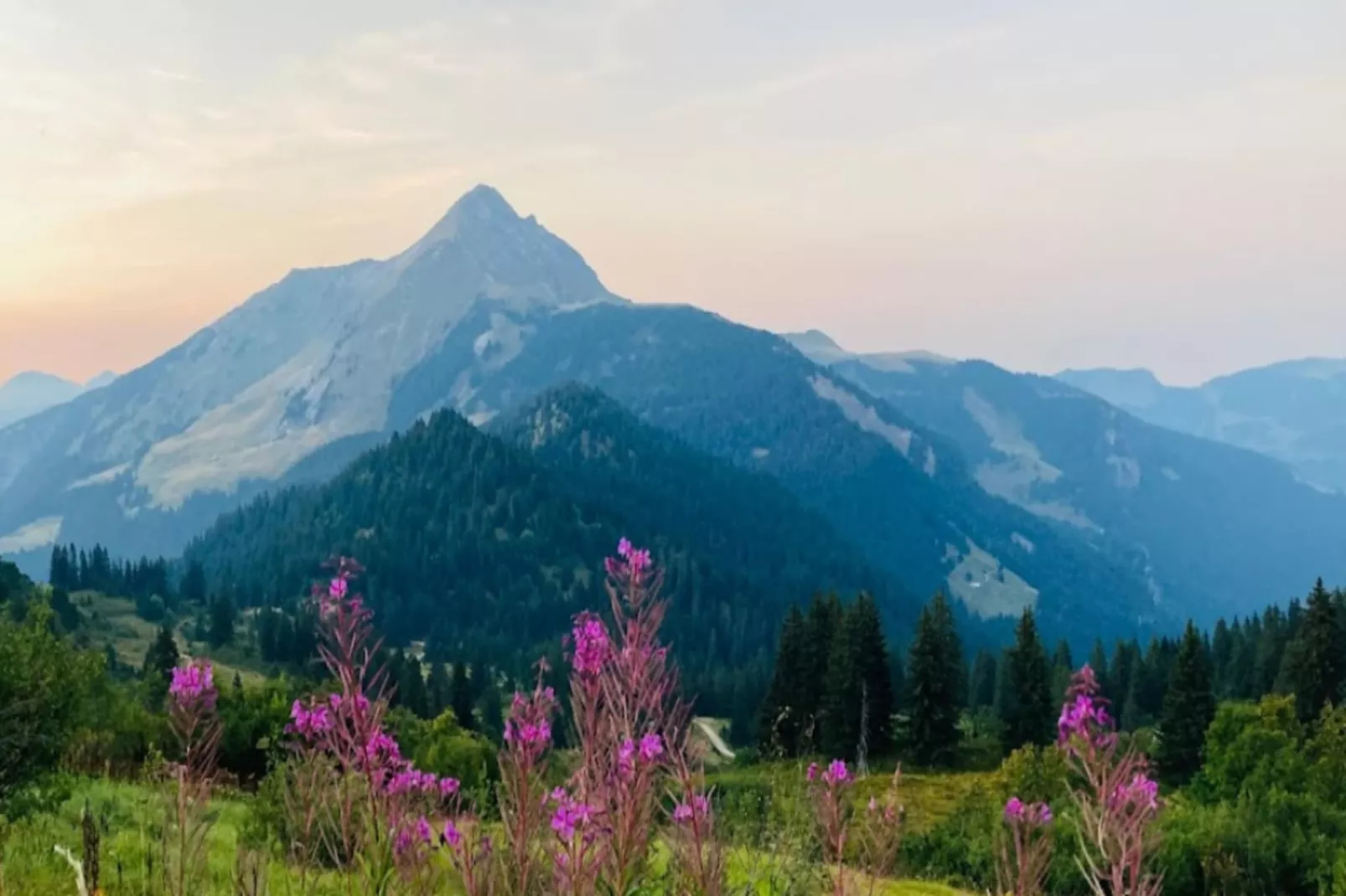 Résidence Les Campanules-Zones été à 5 km