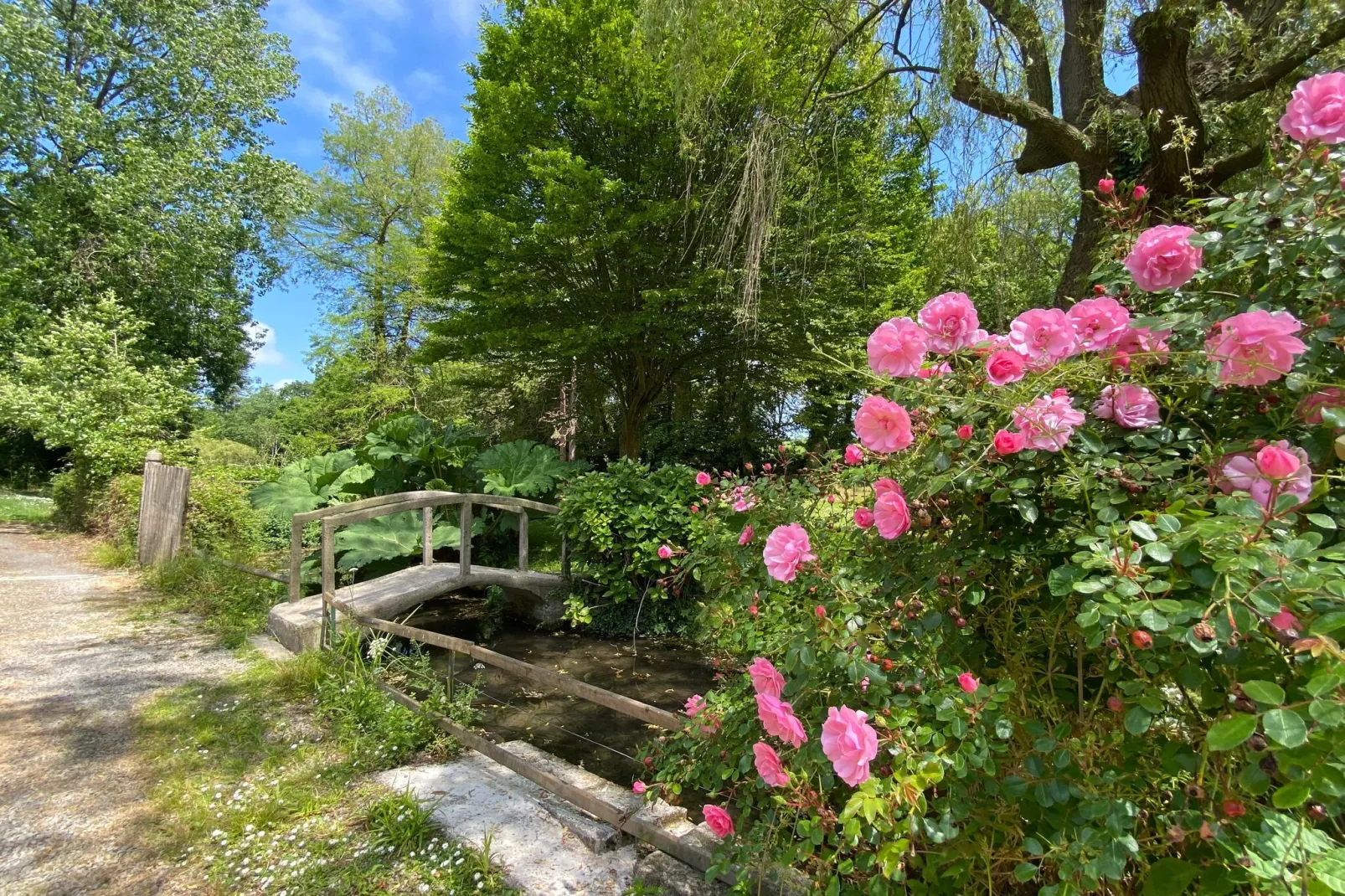 Semi-detached house St Sauveur-le-Vicomte-Gardens in summer