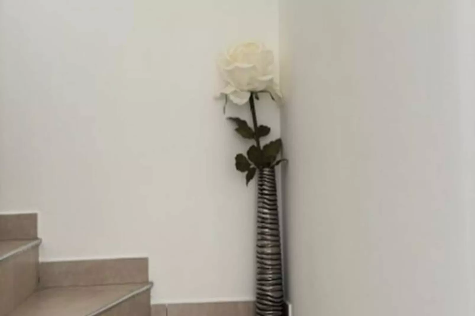 Villa Anna - Piscine Priv&eacute;e Proche Du Centre Historique-Image-tags.