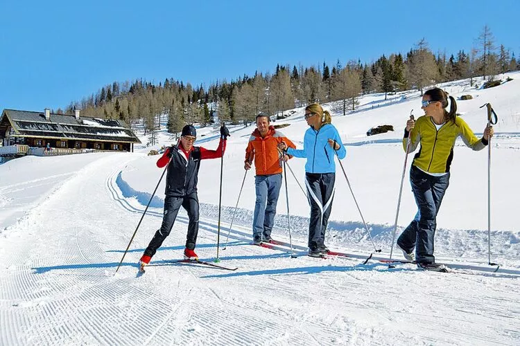 FeWo Kleinpötting Hüttau-Area winter 20km