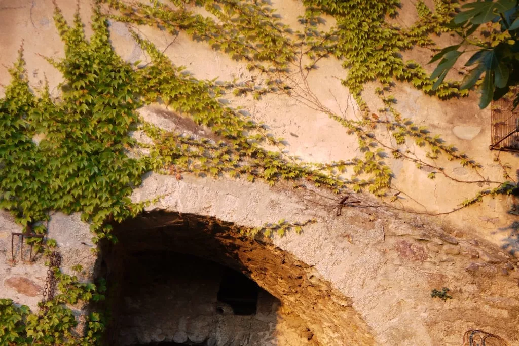 48892-Nicht zugeordnet