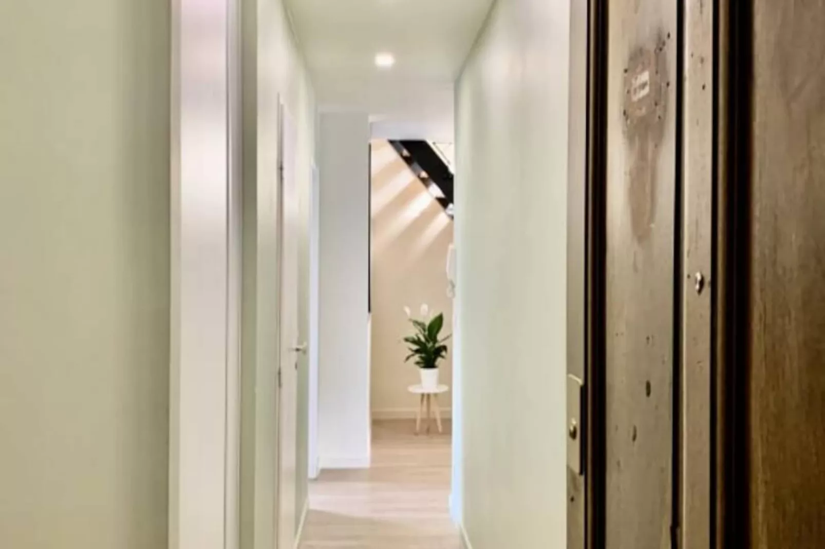 | La Perle🧿| Hypercentre| R&eacute;nov&eacute;-Image-tags.