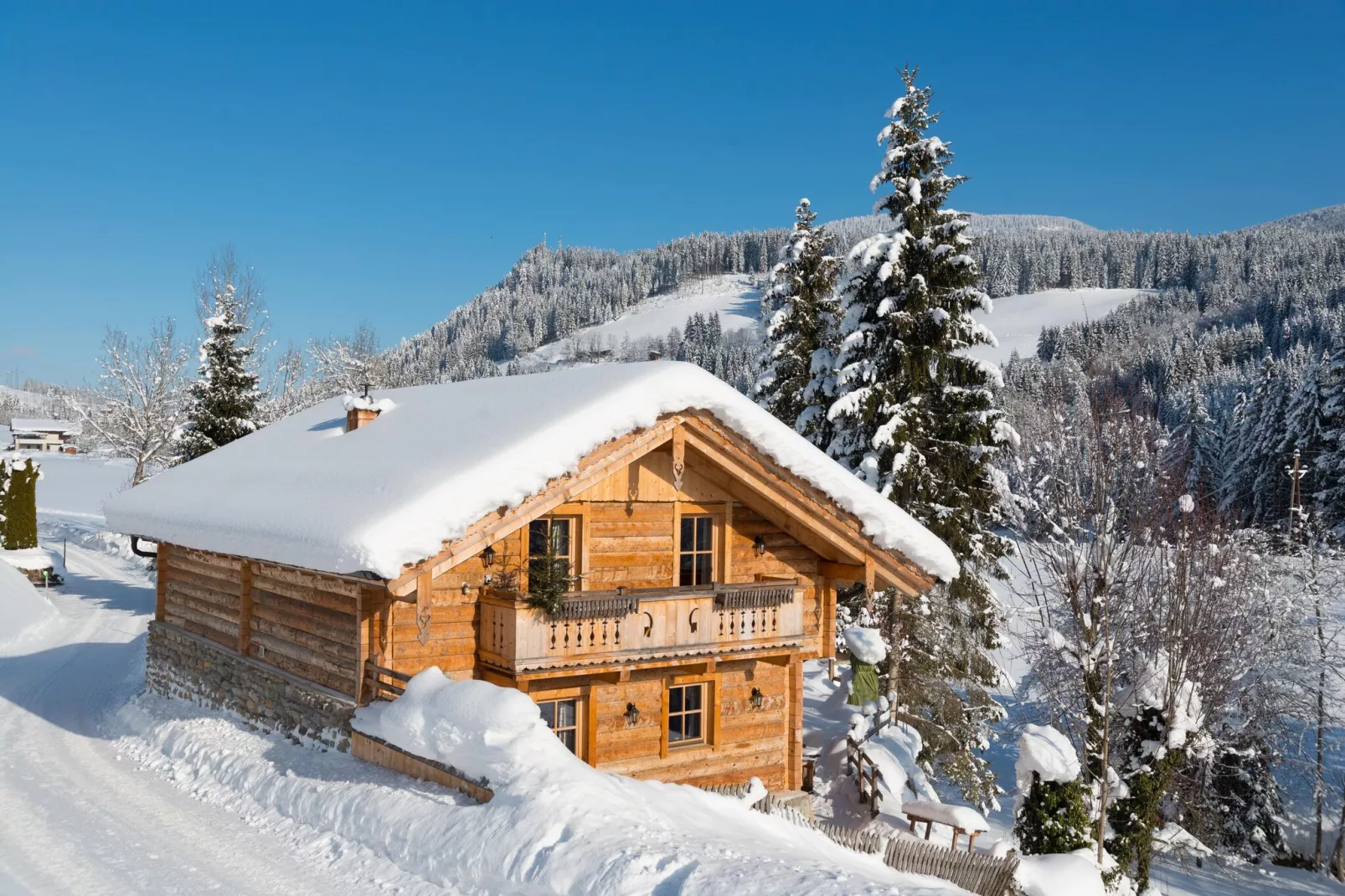 Chalet Steinbock-Exterior winter