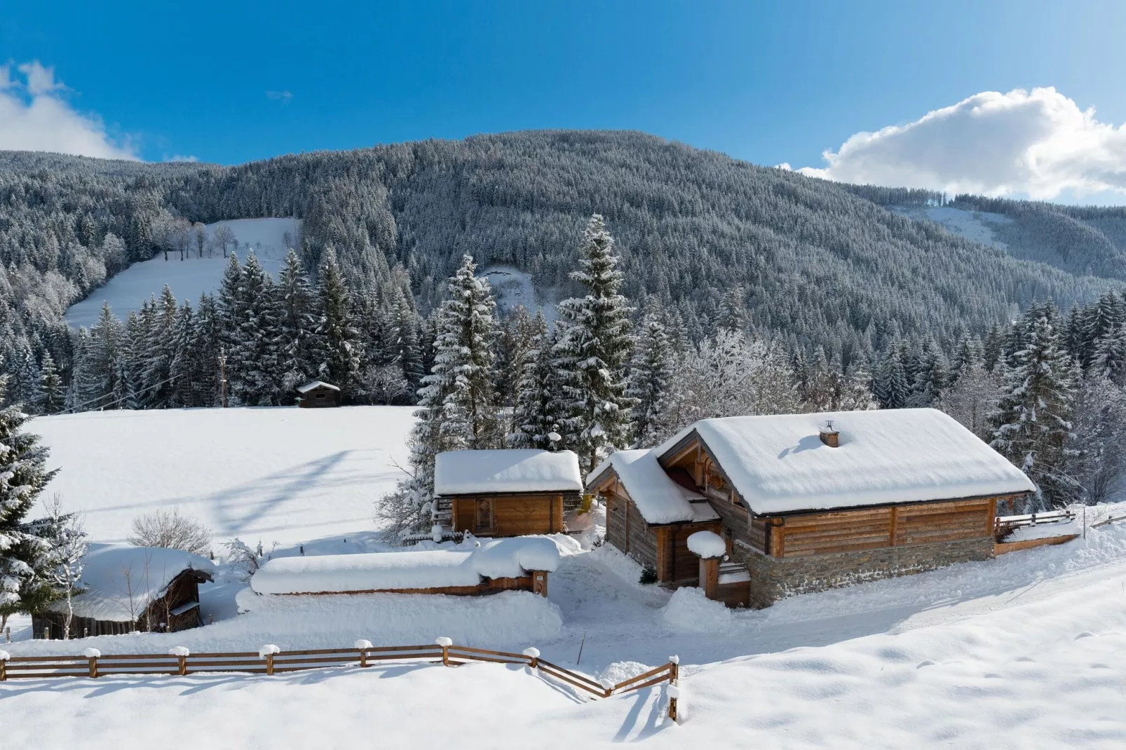 Chalet Steinbock-Atmosphere