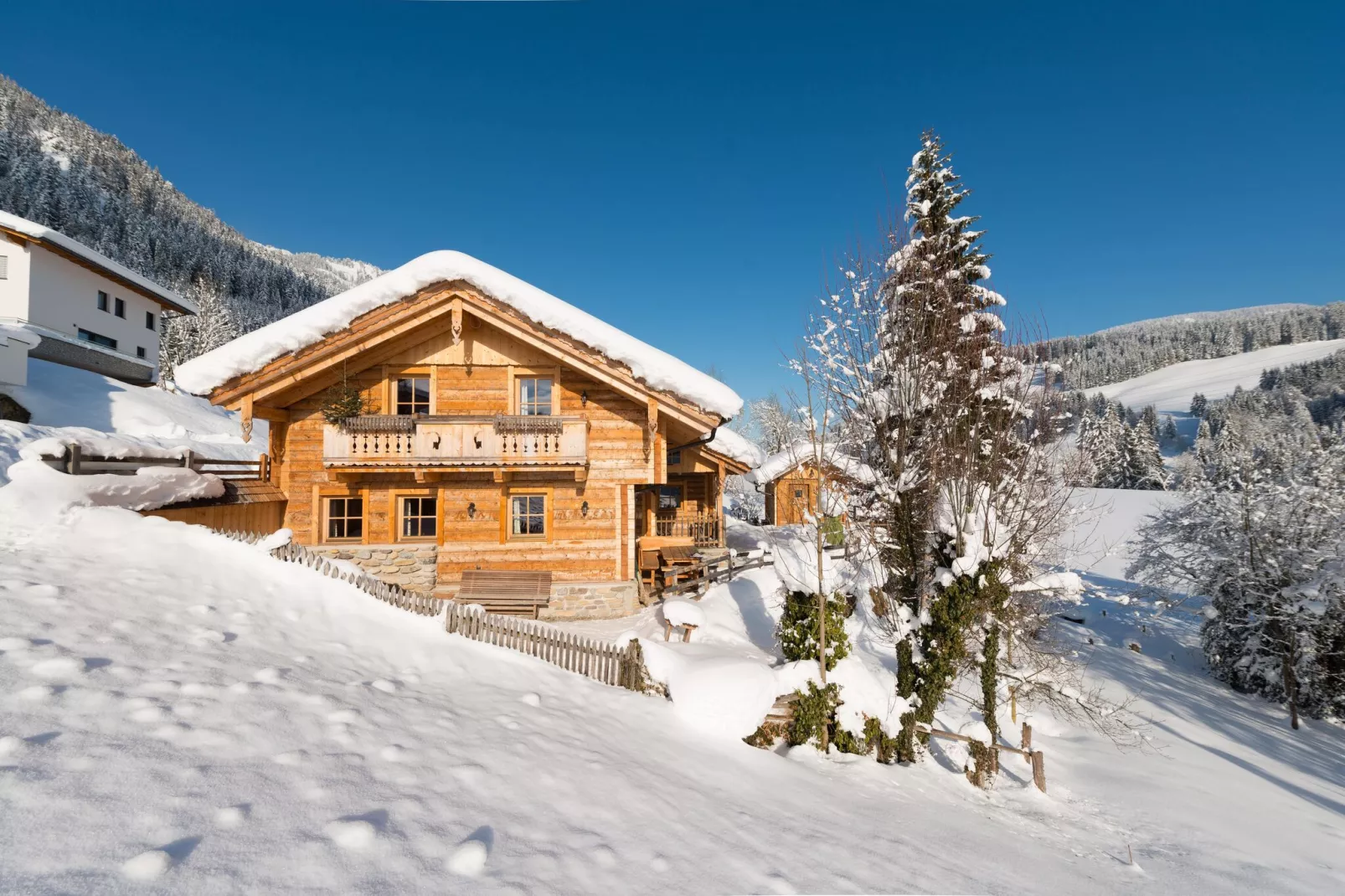Chalet Steinbock-Exterior winter