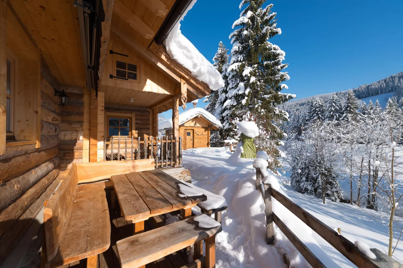 Chalet Steinbock-Exterior winter