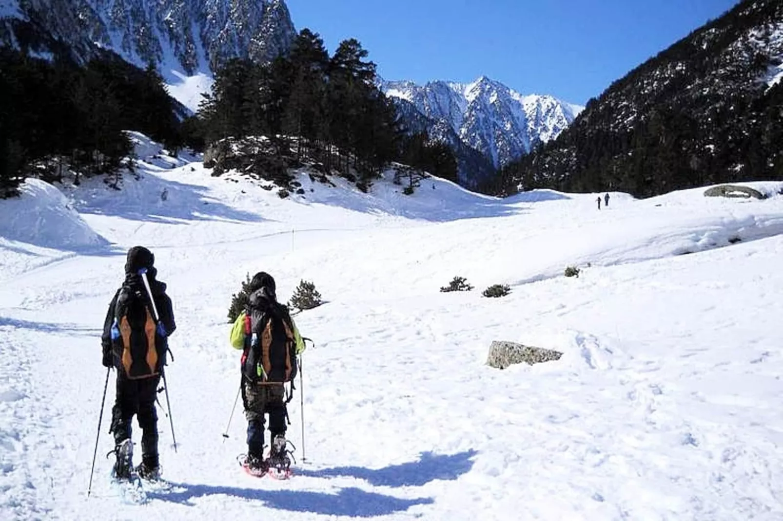 Résidence Ayre-View in summer