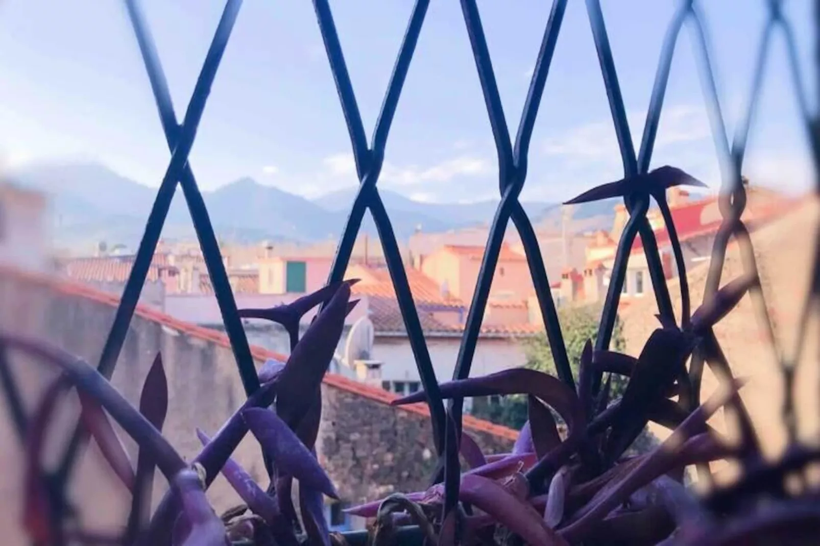 R&eacute;sidence St Vincent-Image-tags.