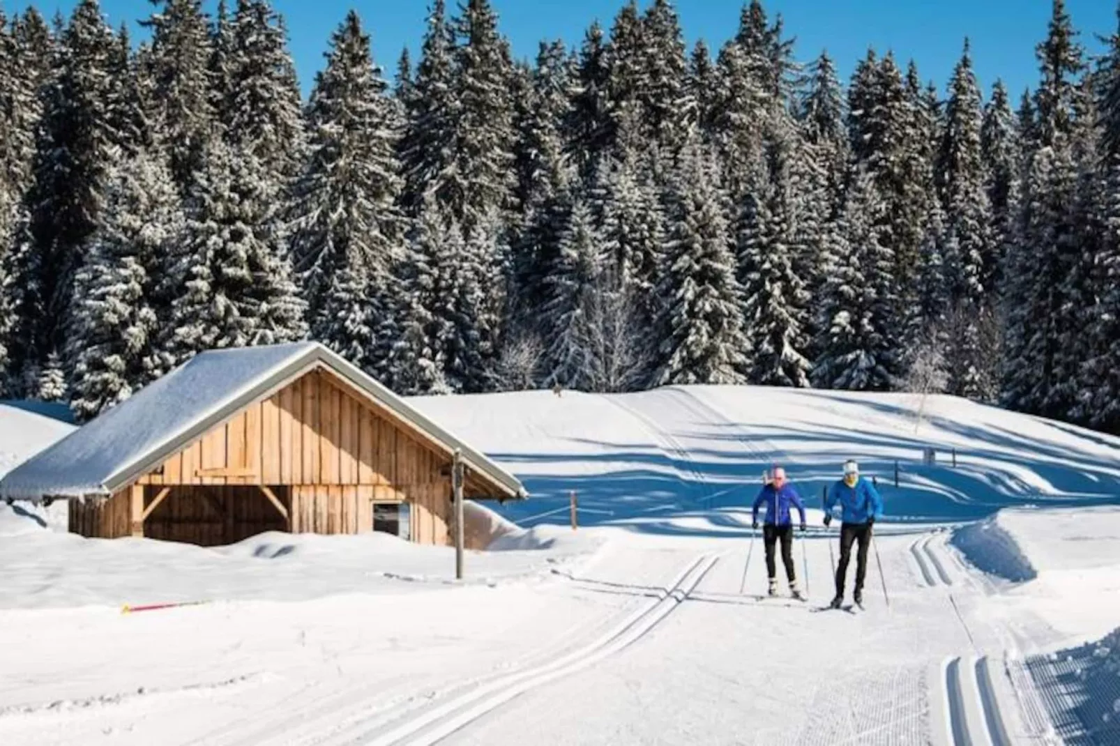 Superbe Appartement Au Pied Des Pistes - Le Chamois***-Image-tags.