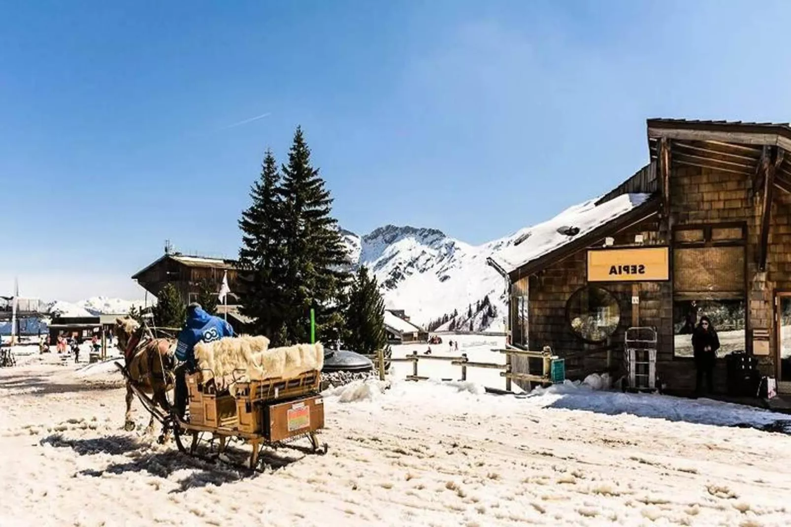 Résidence Sépia-Area within 5km in winter