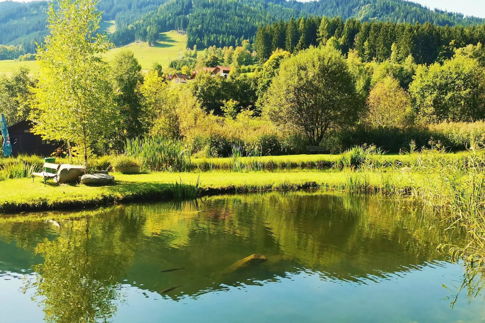 Ferienpark Gaal - Steiermark-Areas summer 5km