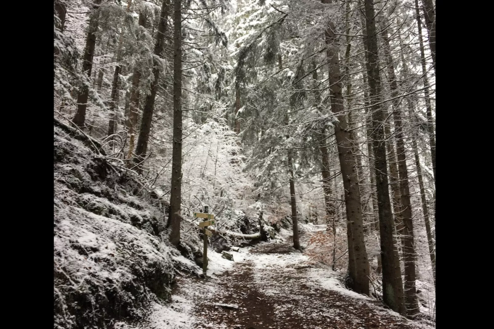 Résidence Aigle Royal-Area within 5km in winter