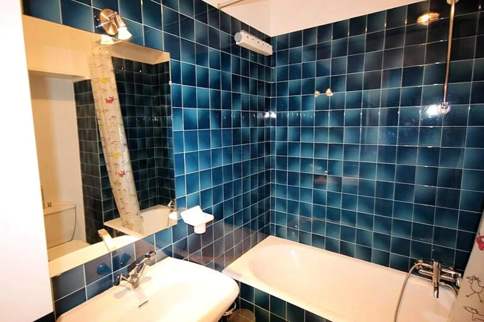 Studio à Saint Jean d'Aulps-Bathroom